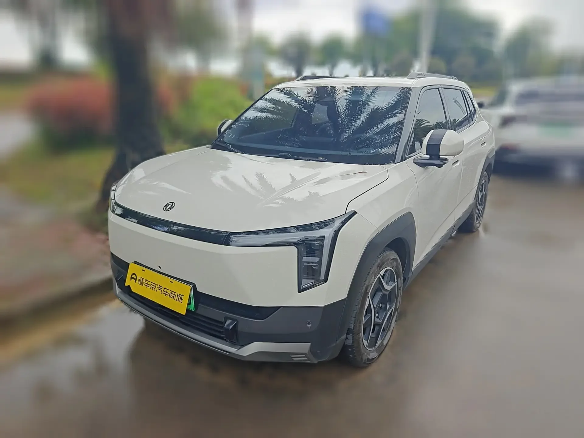 Dongfeng Nano 06