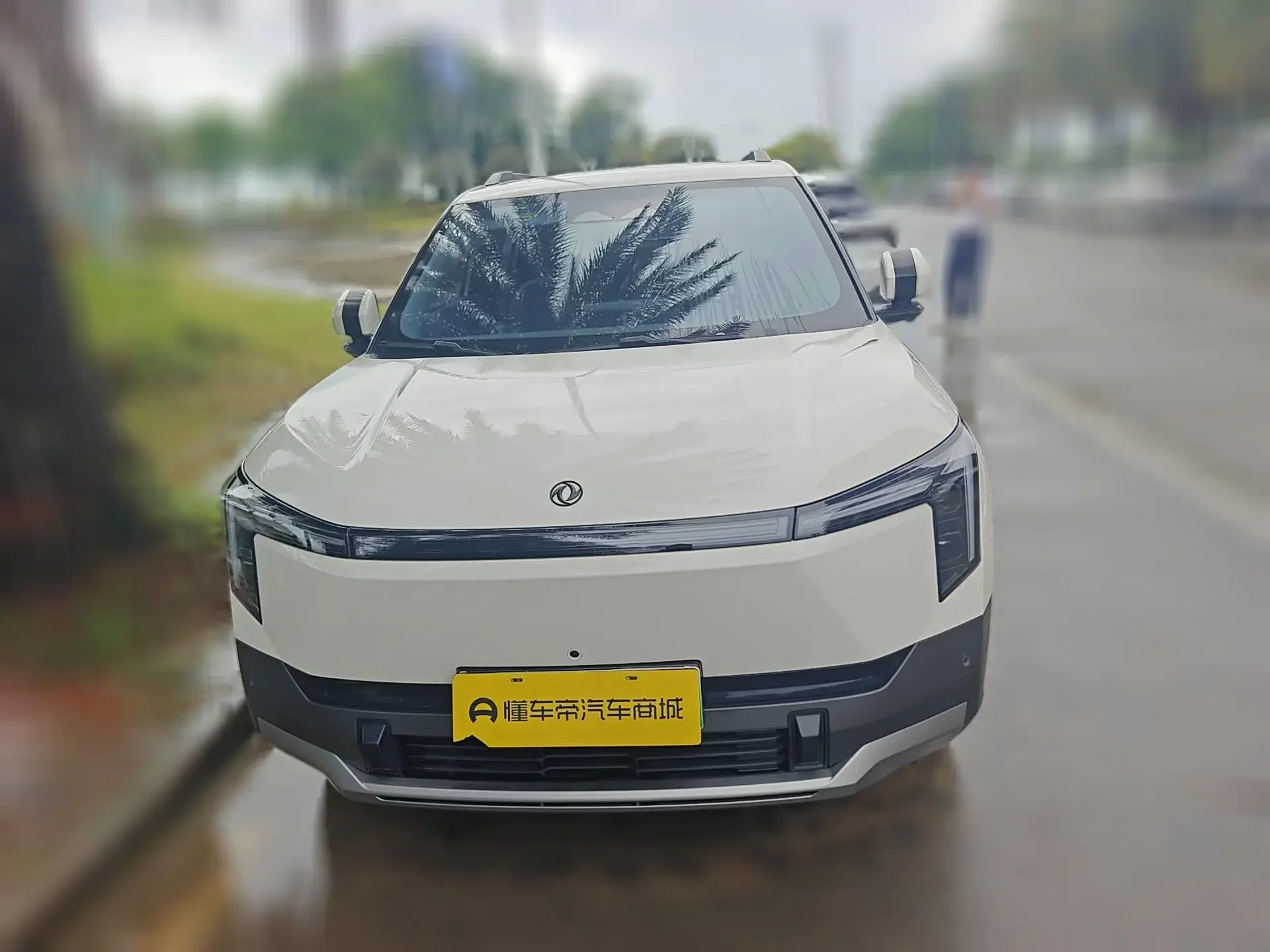 Dongfeng Nano 06