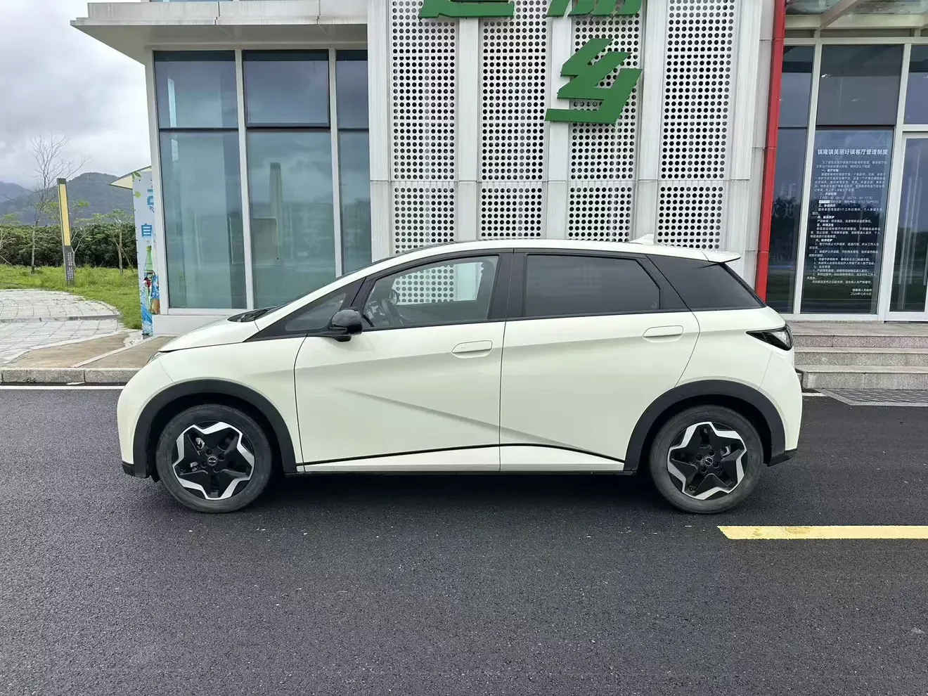 BYD dolphin