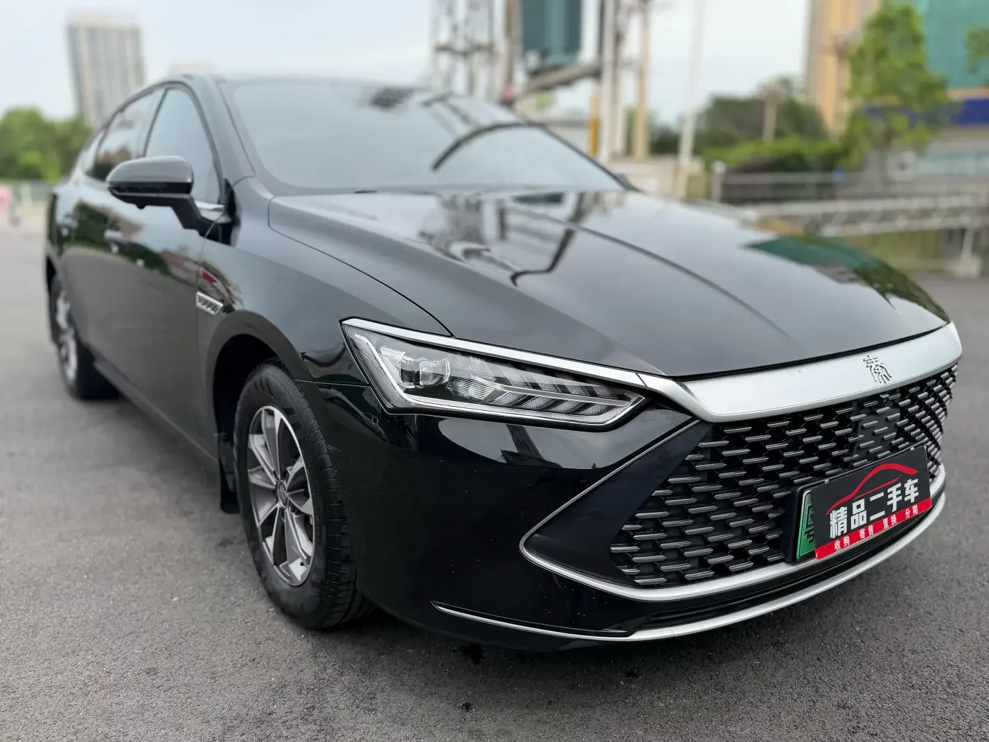 BYD Qin PLUS DM