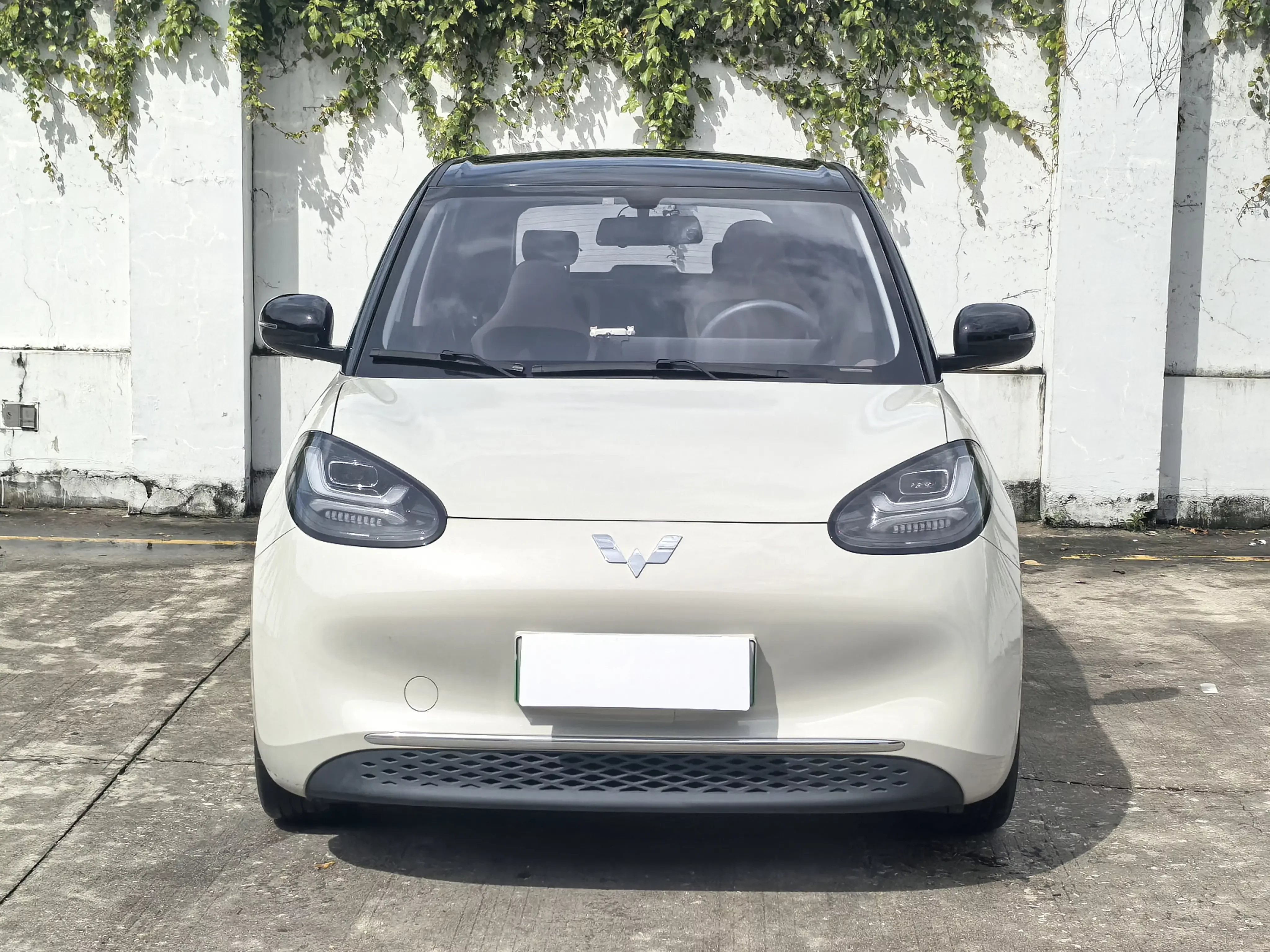 Wuling Bingo