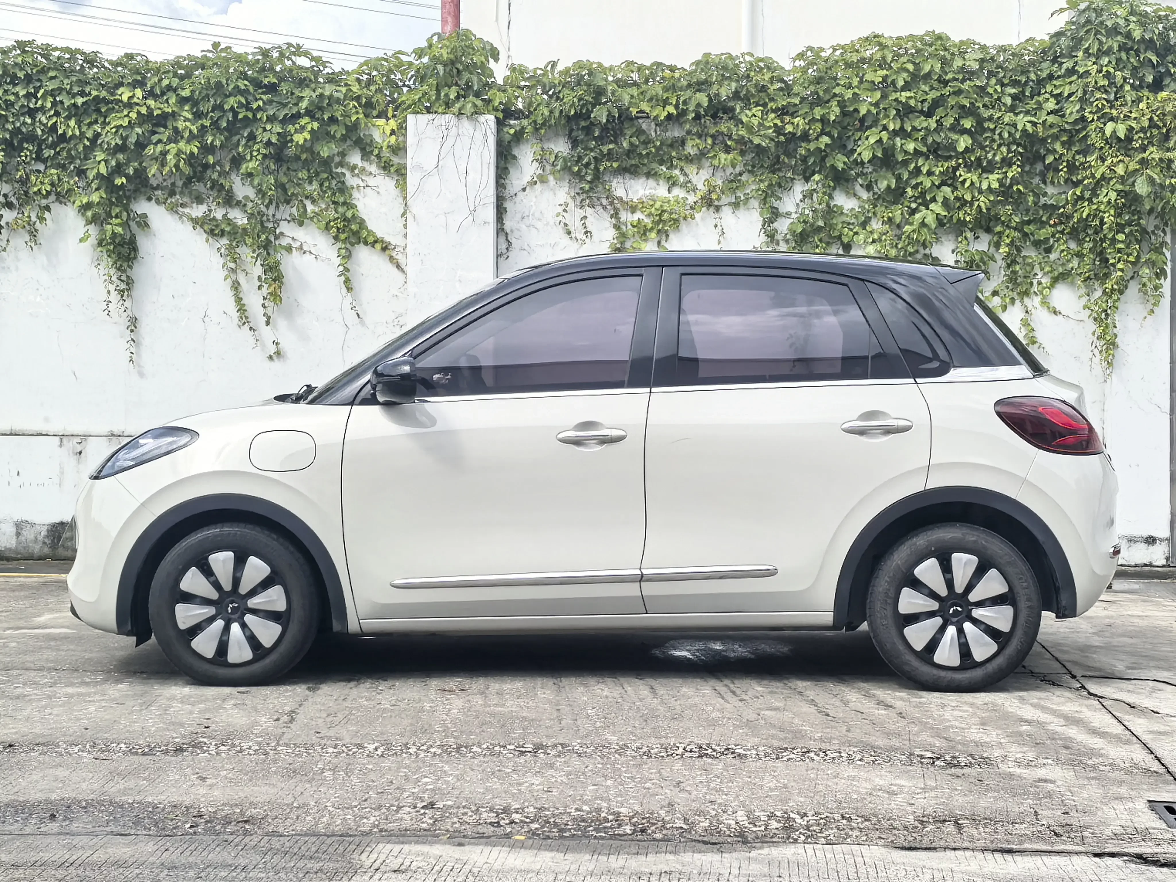 Wuling Bingo
