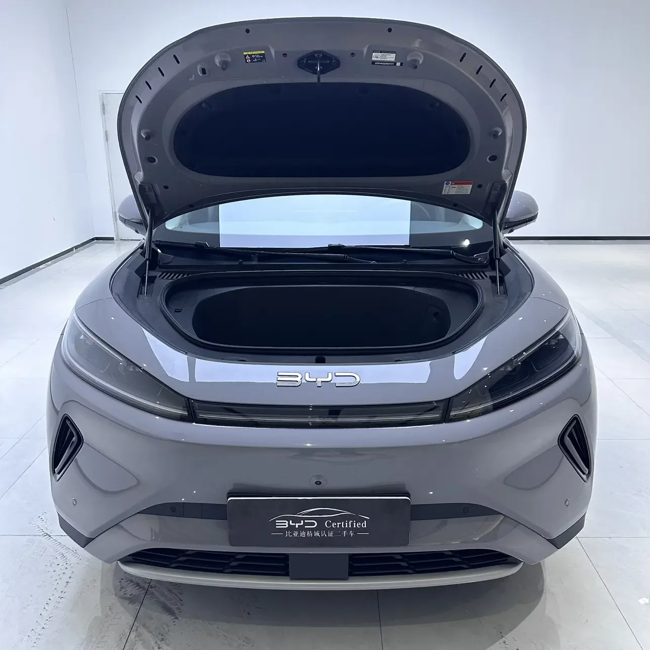BYD Sea Lion 05EV