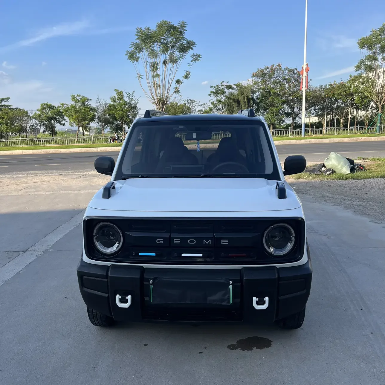 Geely panda