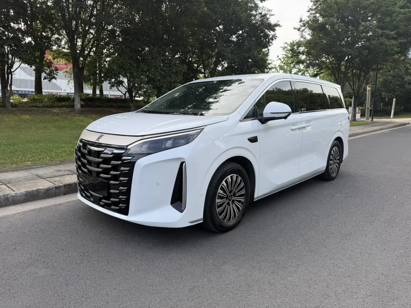 BYD summer  из Китая