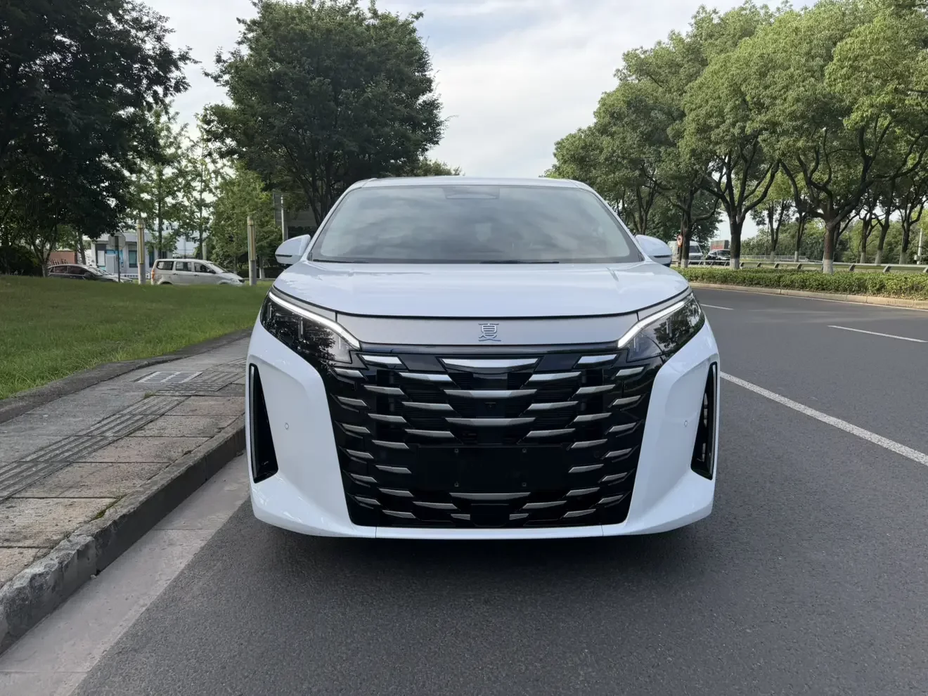 BYD summer  из Китая