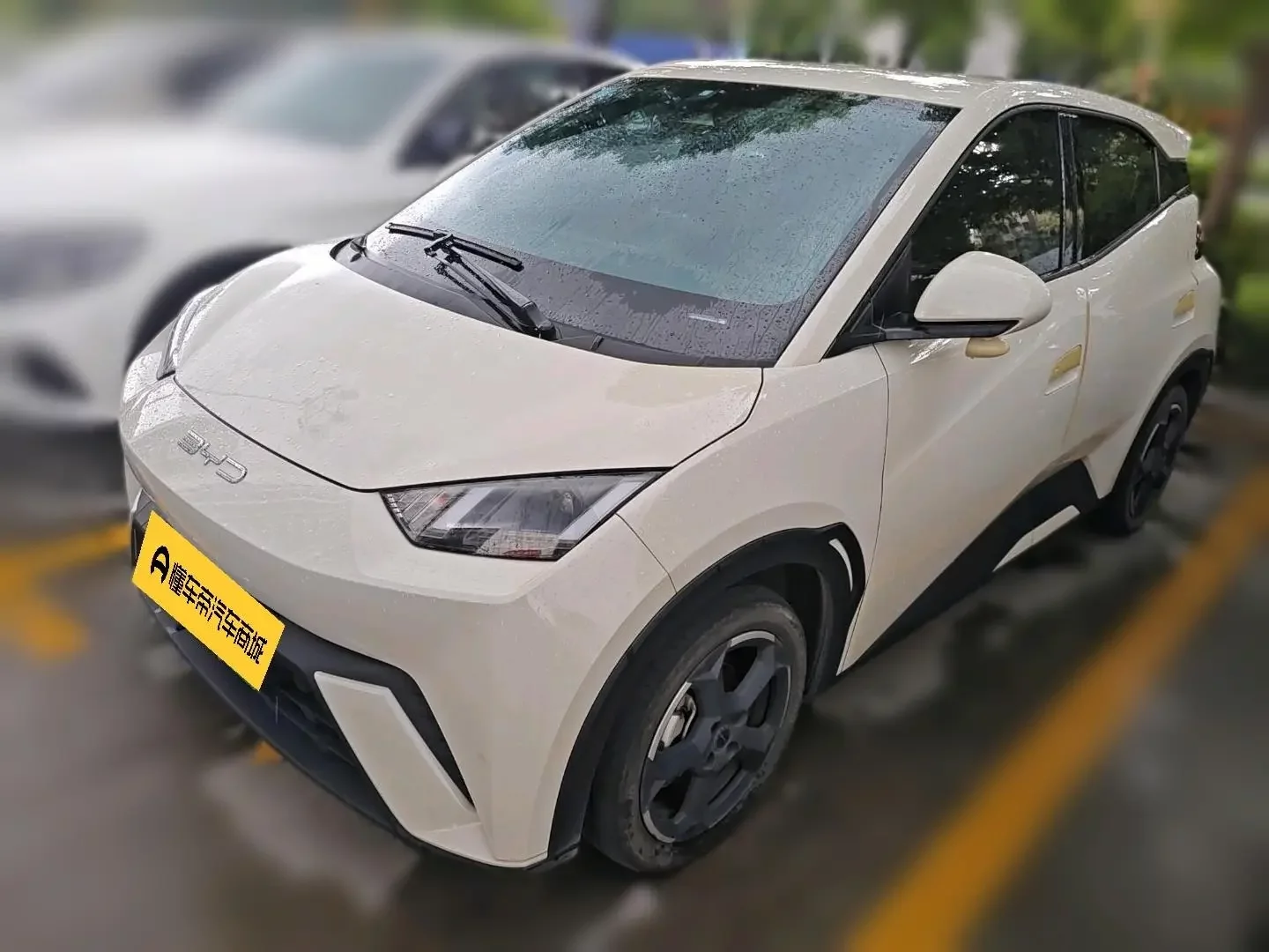 BYD seagull