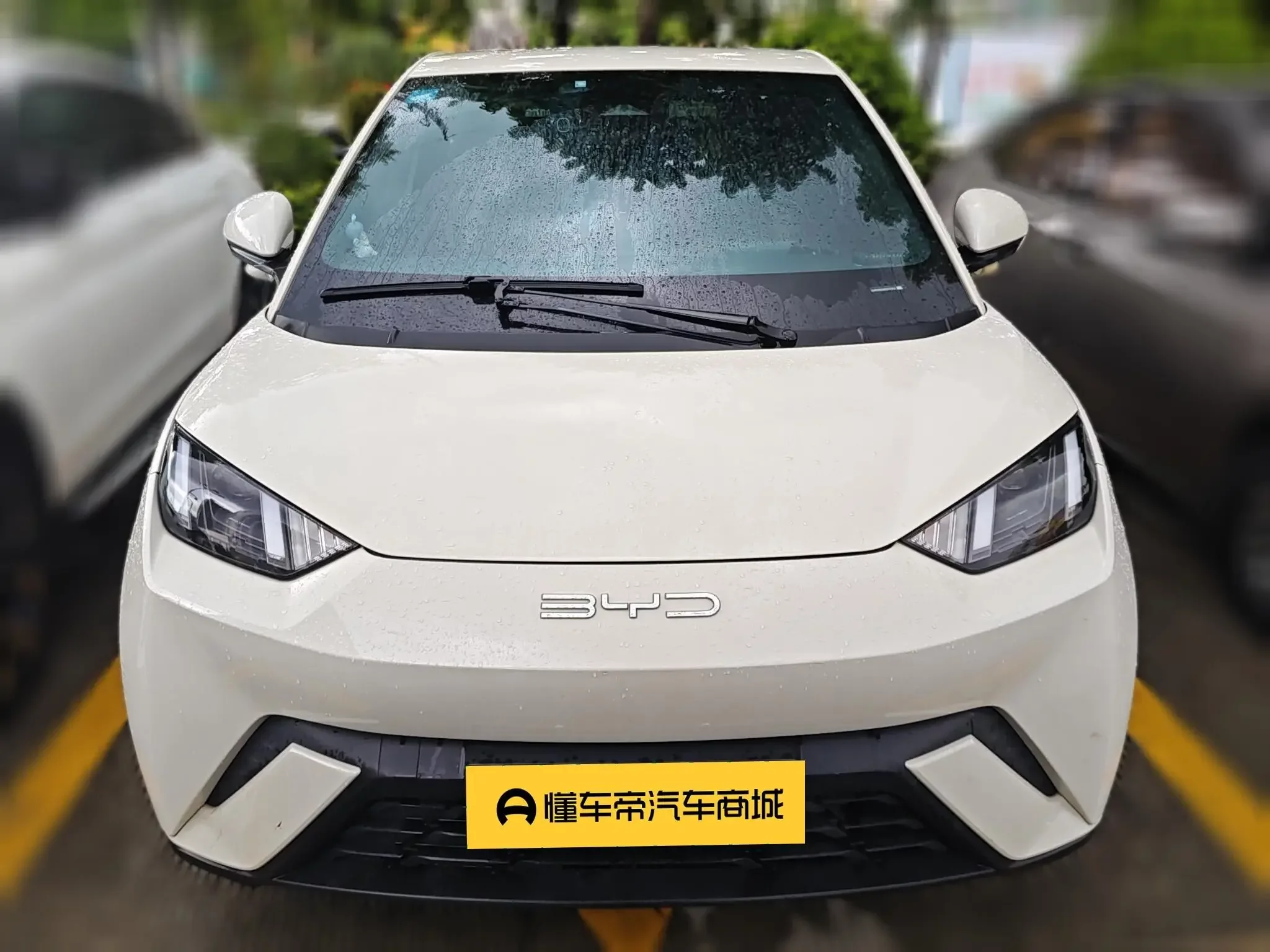 BYD seagull