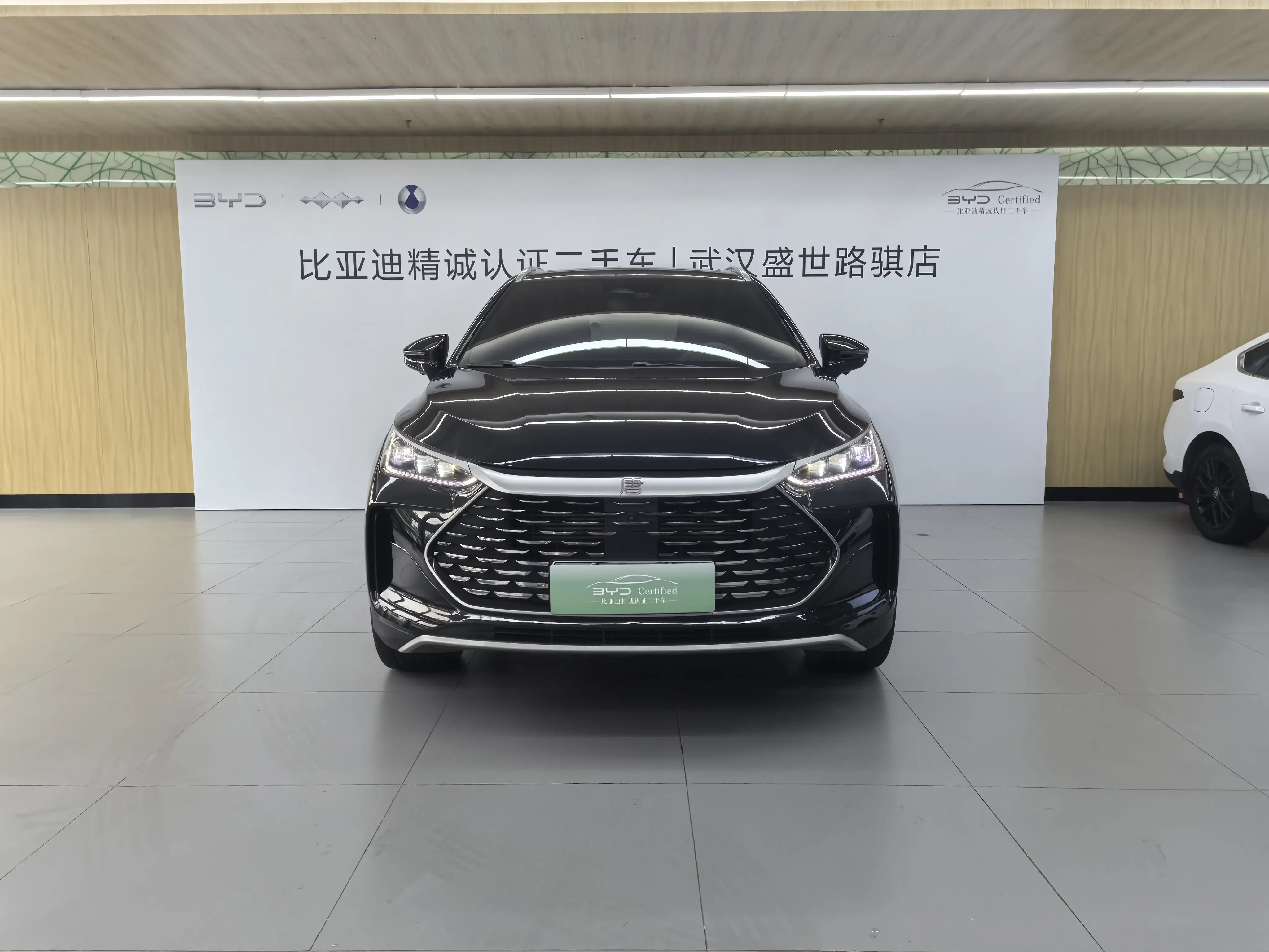 BYD Tang DM