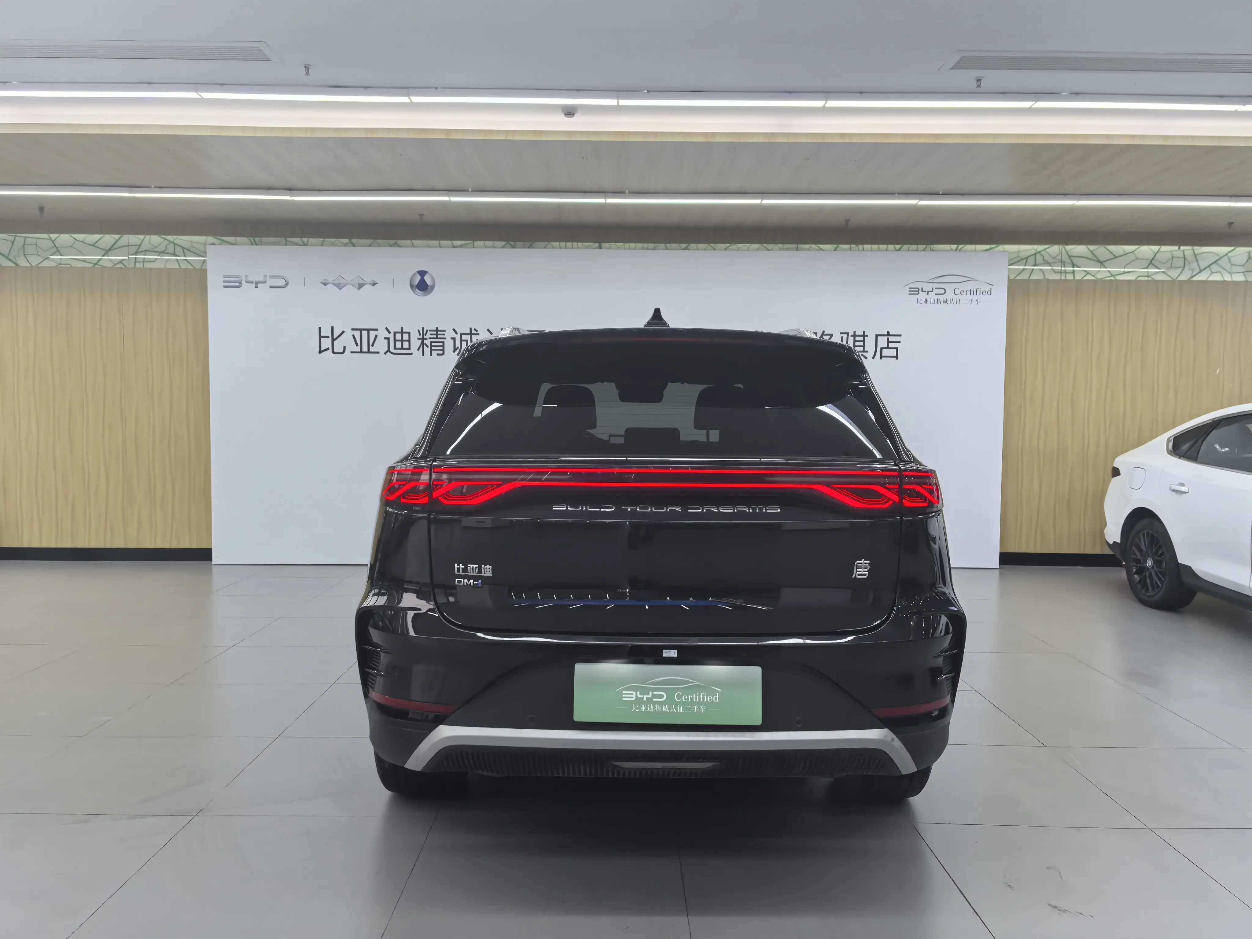 BYD Tang DM