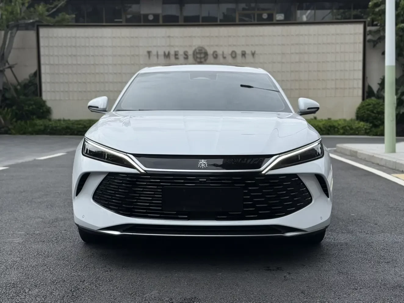 BYD Qin L DM