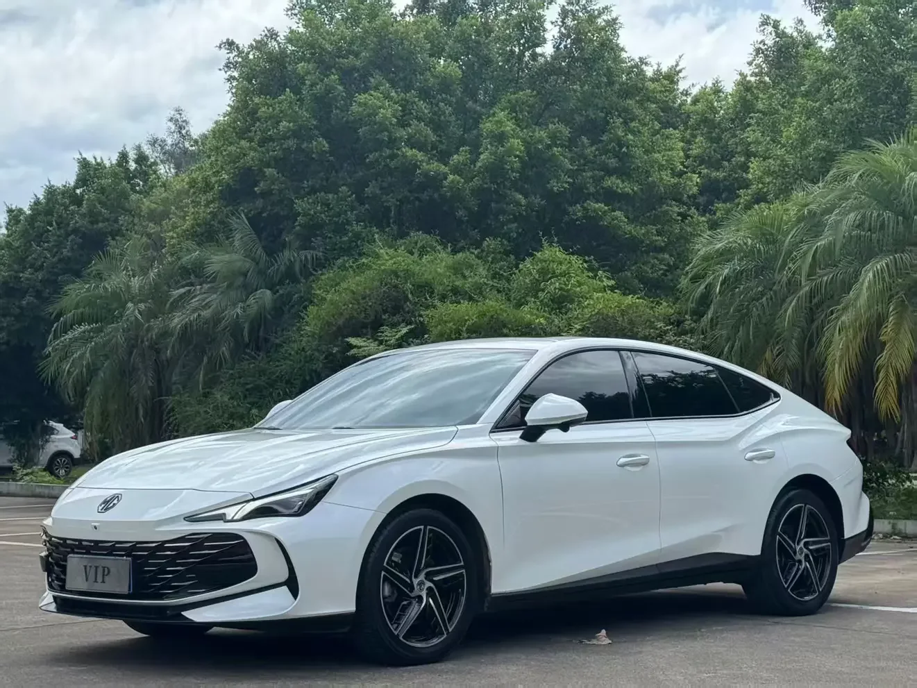 MG 7