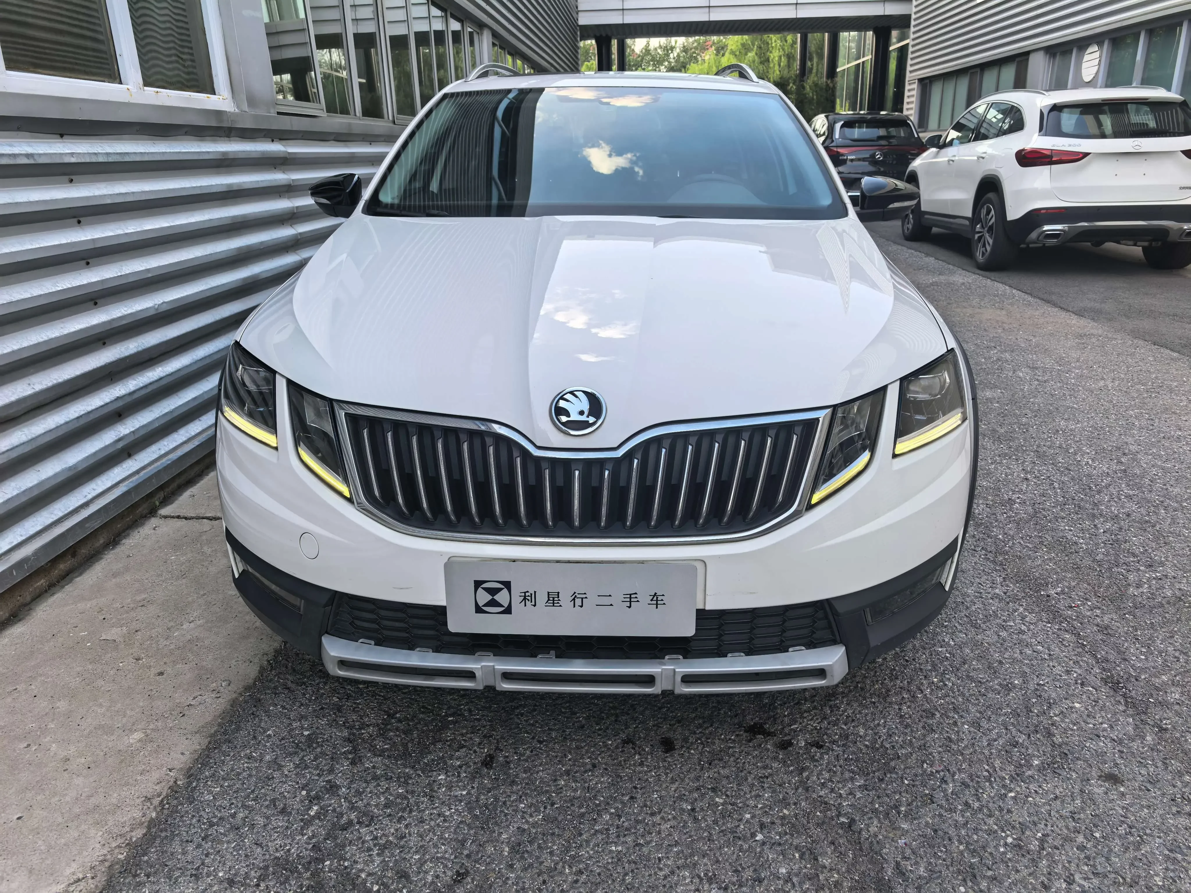 Skoda Octavia  из Китая