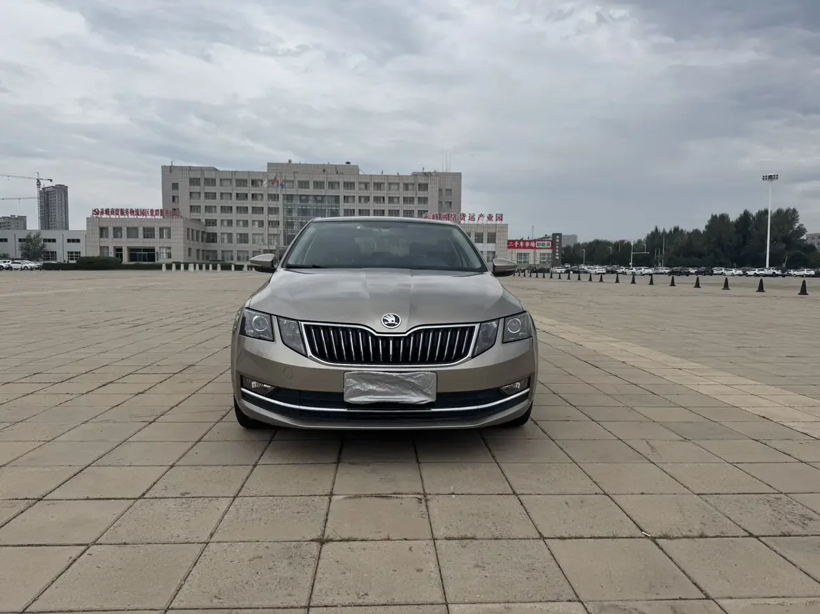 Skoda Octavia  из Китая