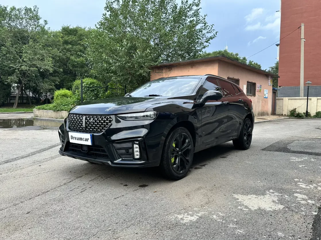 Wey Wei brand VV7