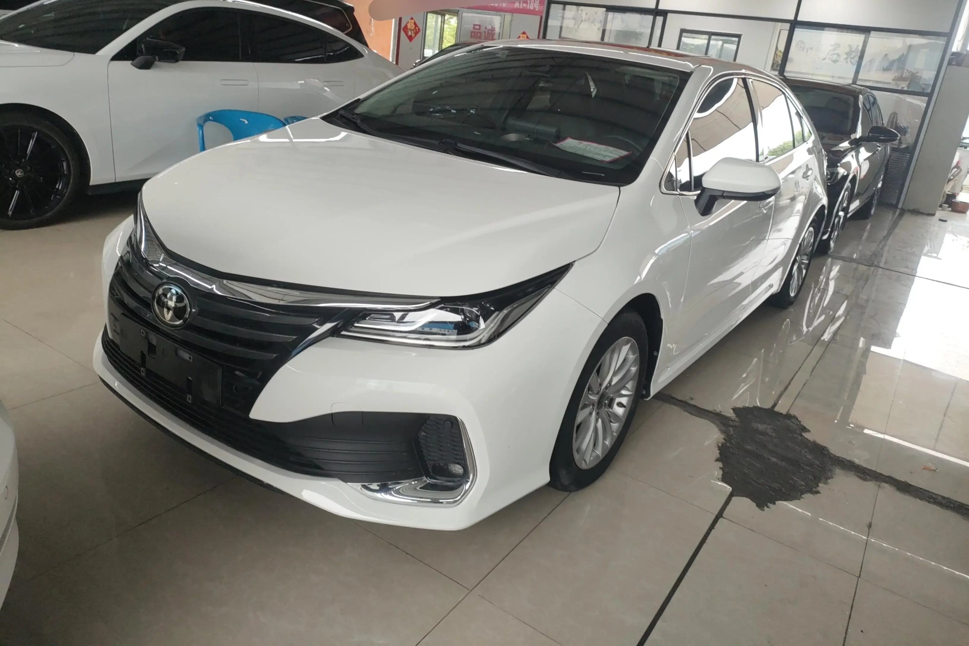 Toyota Asiatic lion