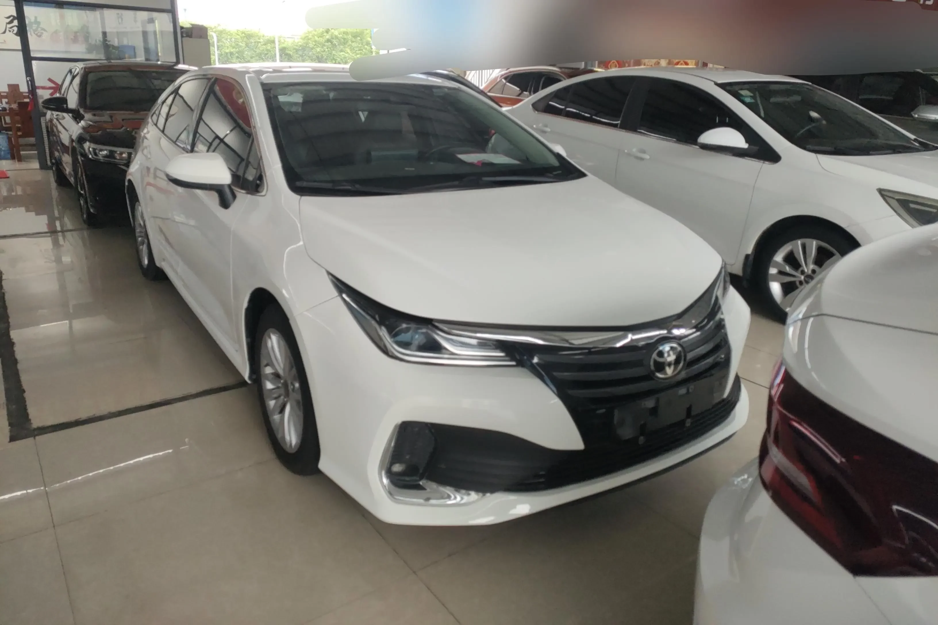 Toyota Asiatic lion