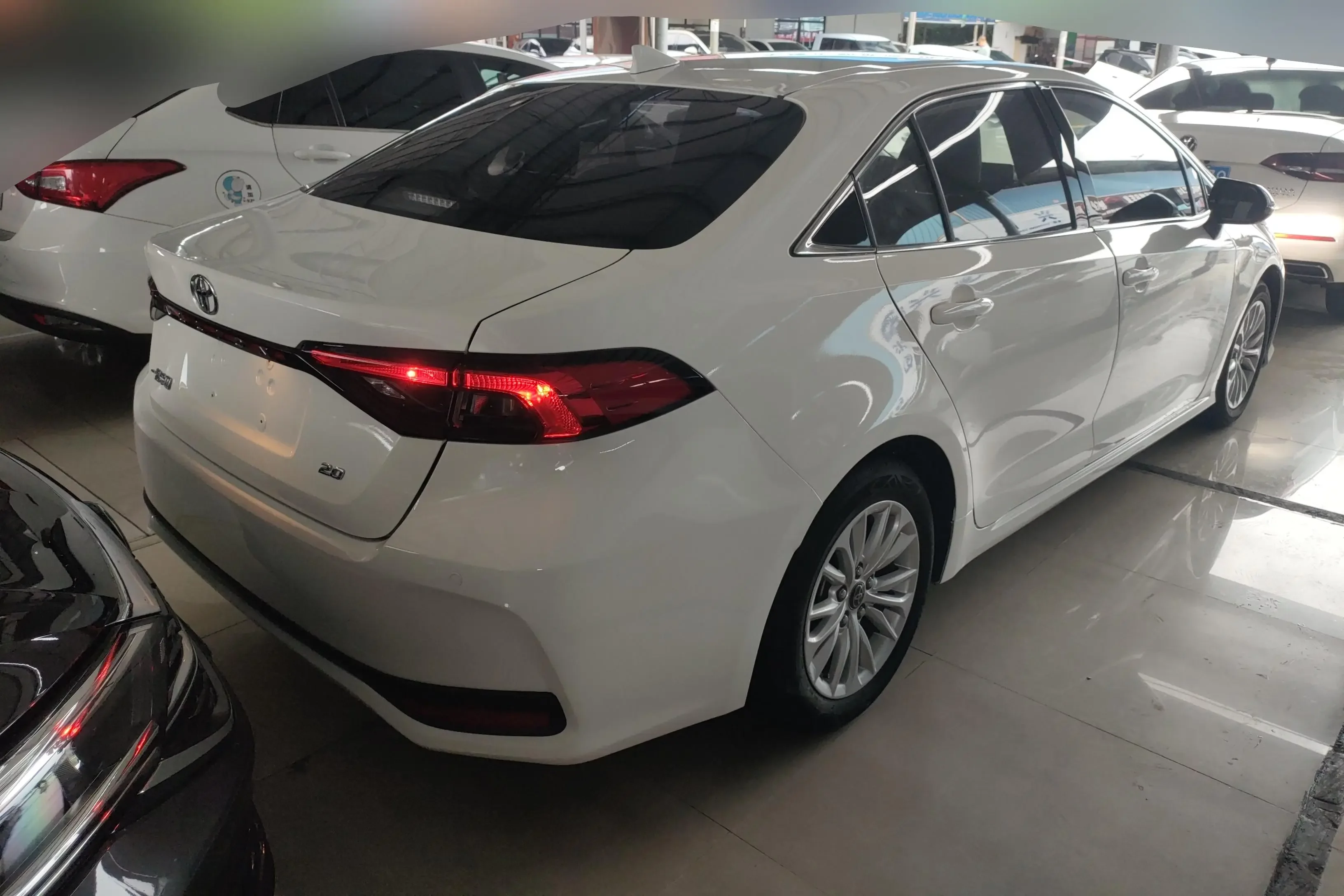 Toyota Asiatic lion