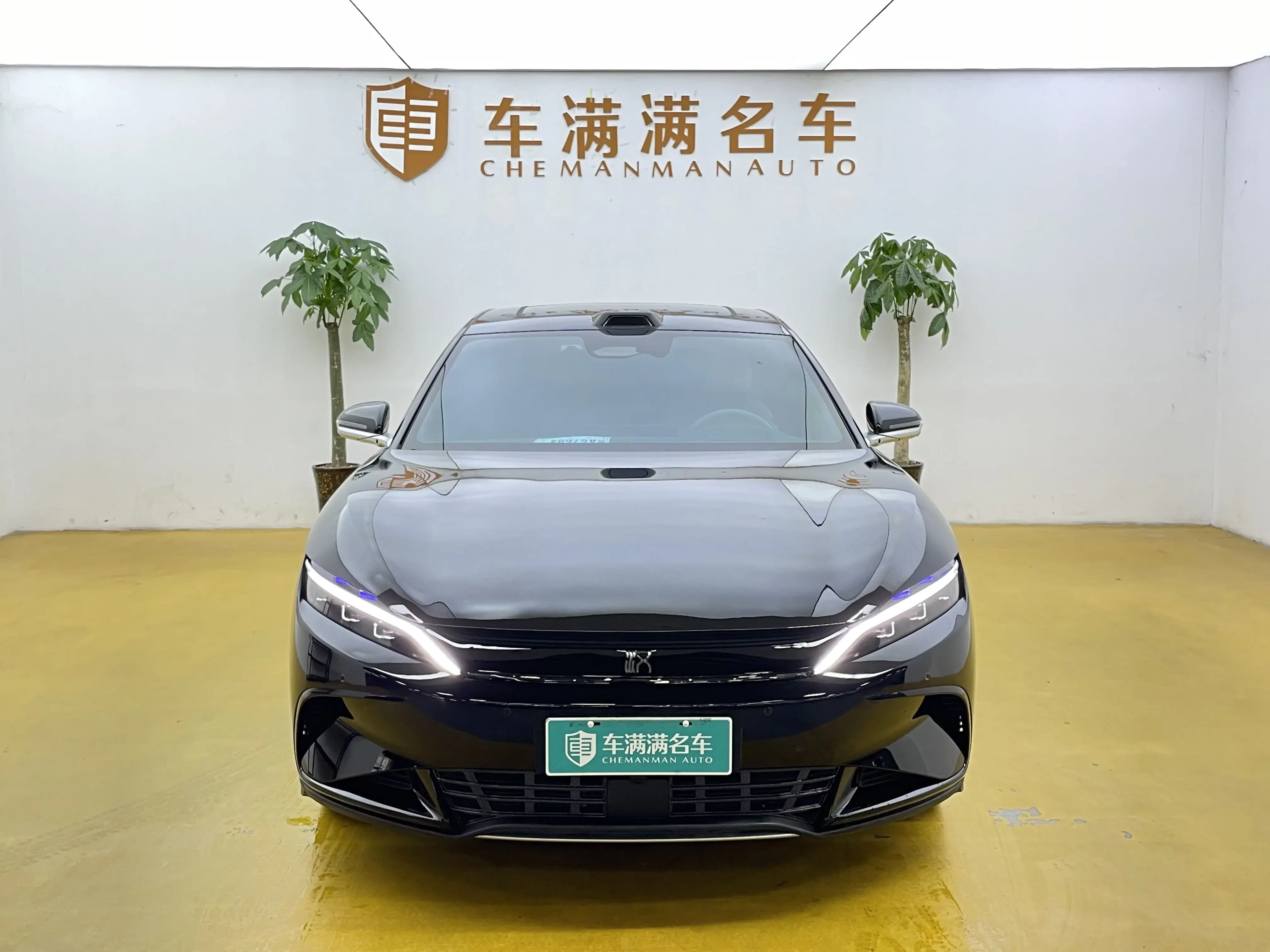 BYD Han EV
