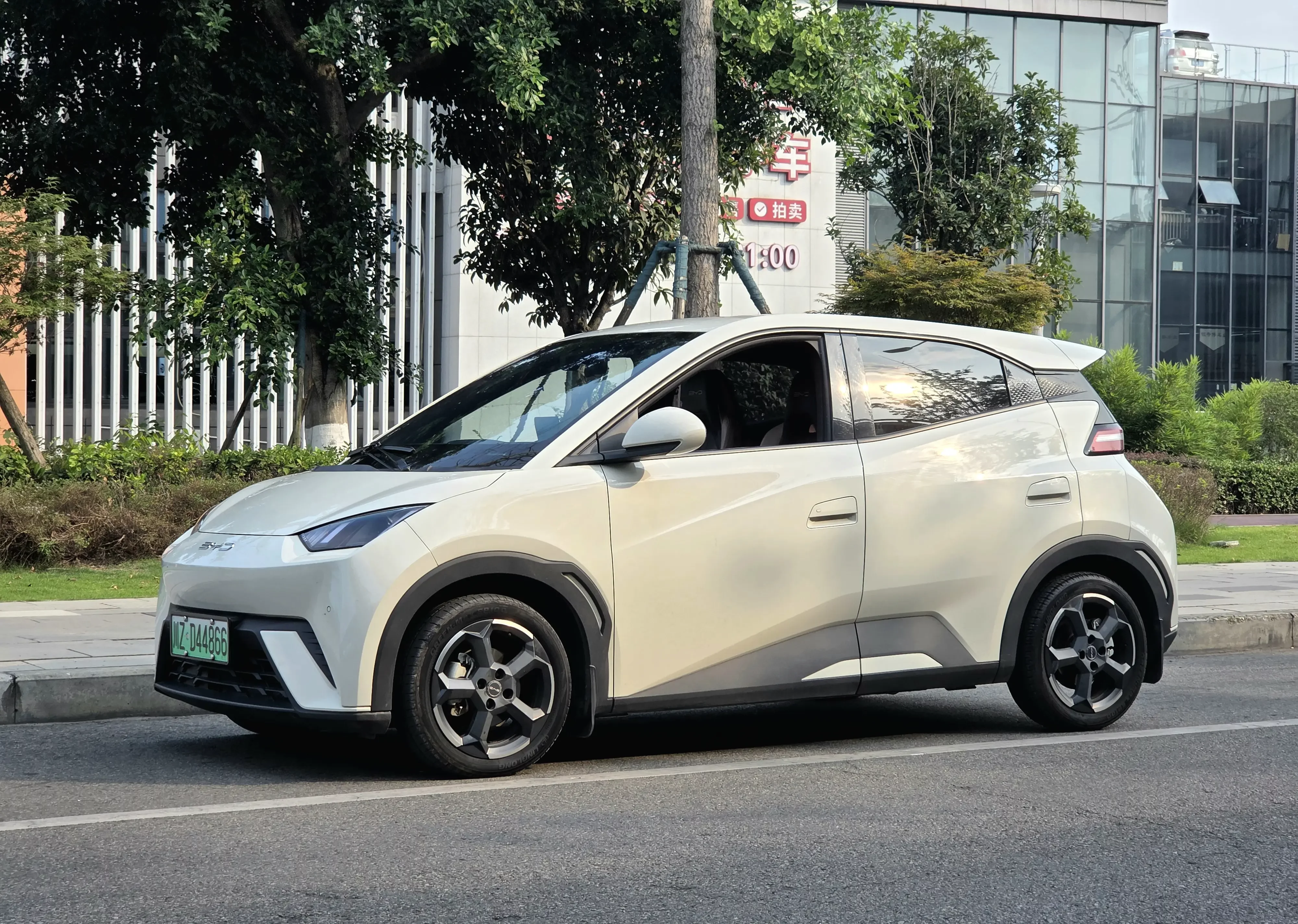BYD seagull