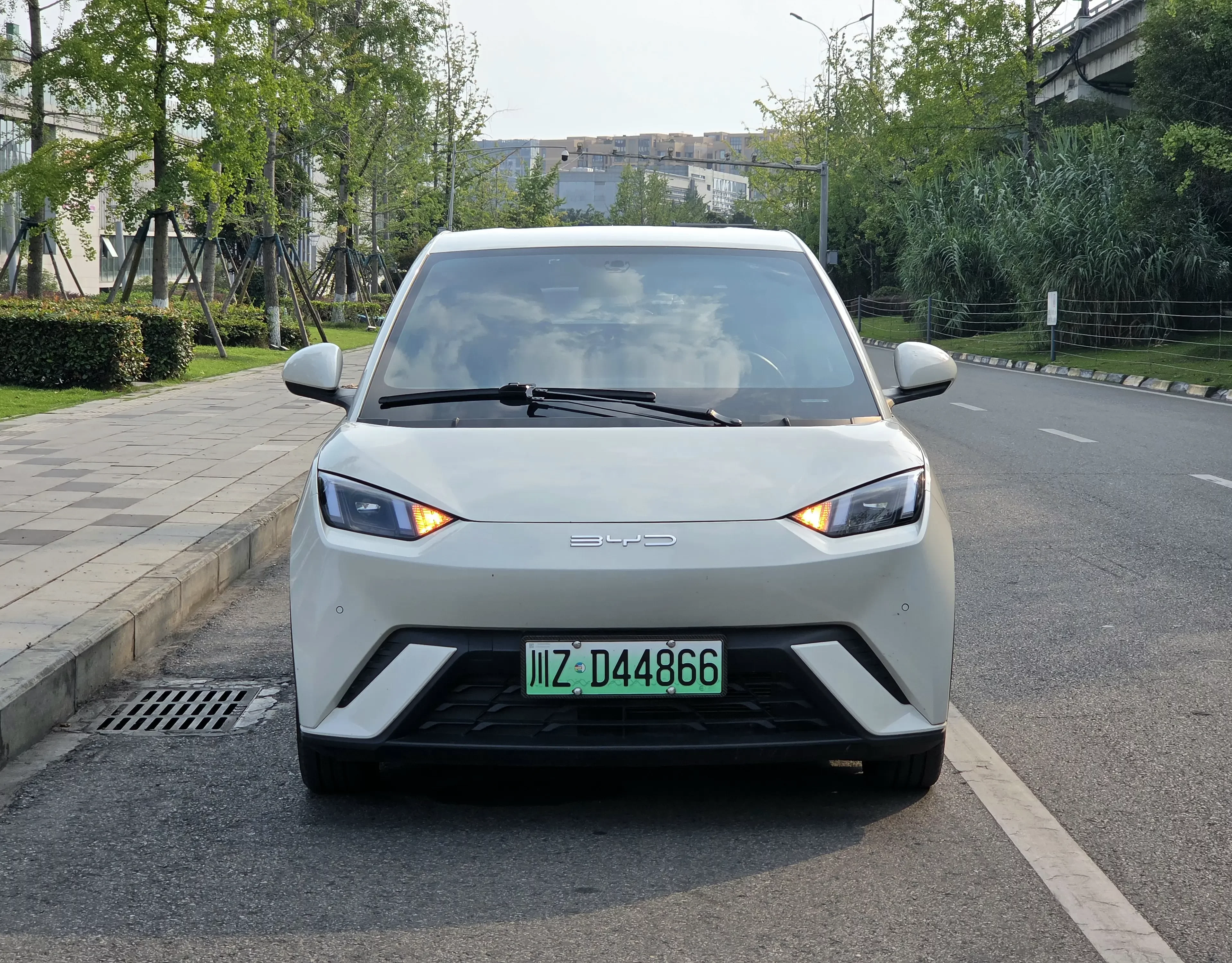 BYD seagull