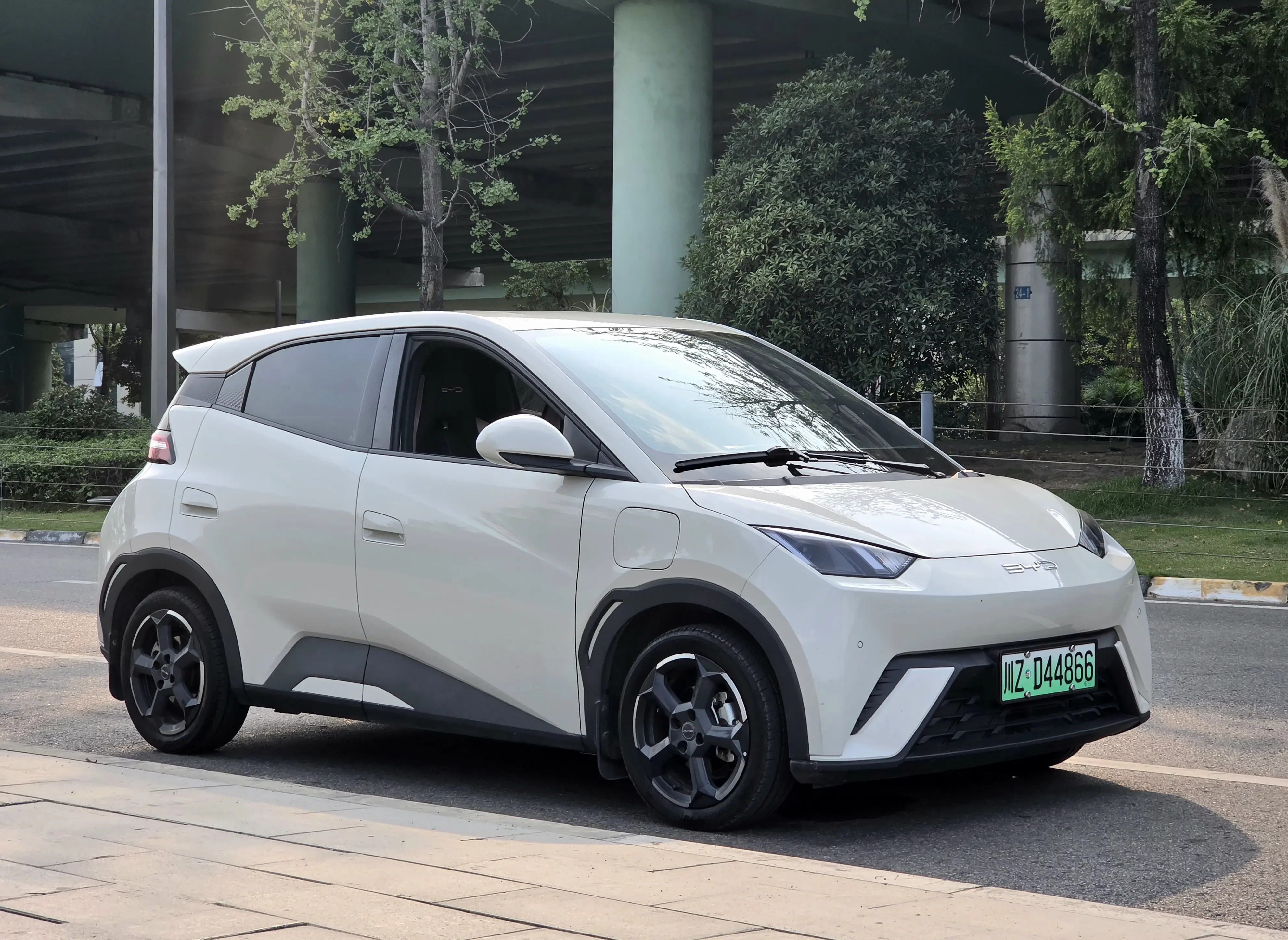 BYD seagull