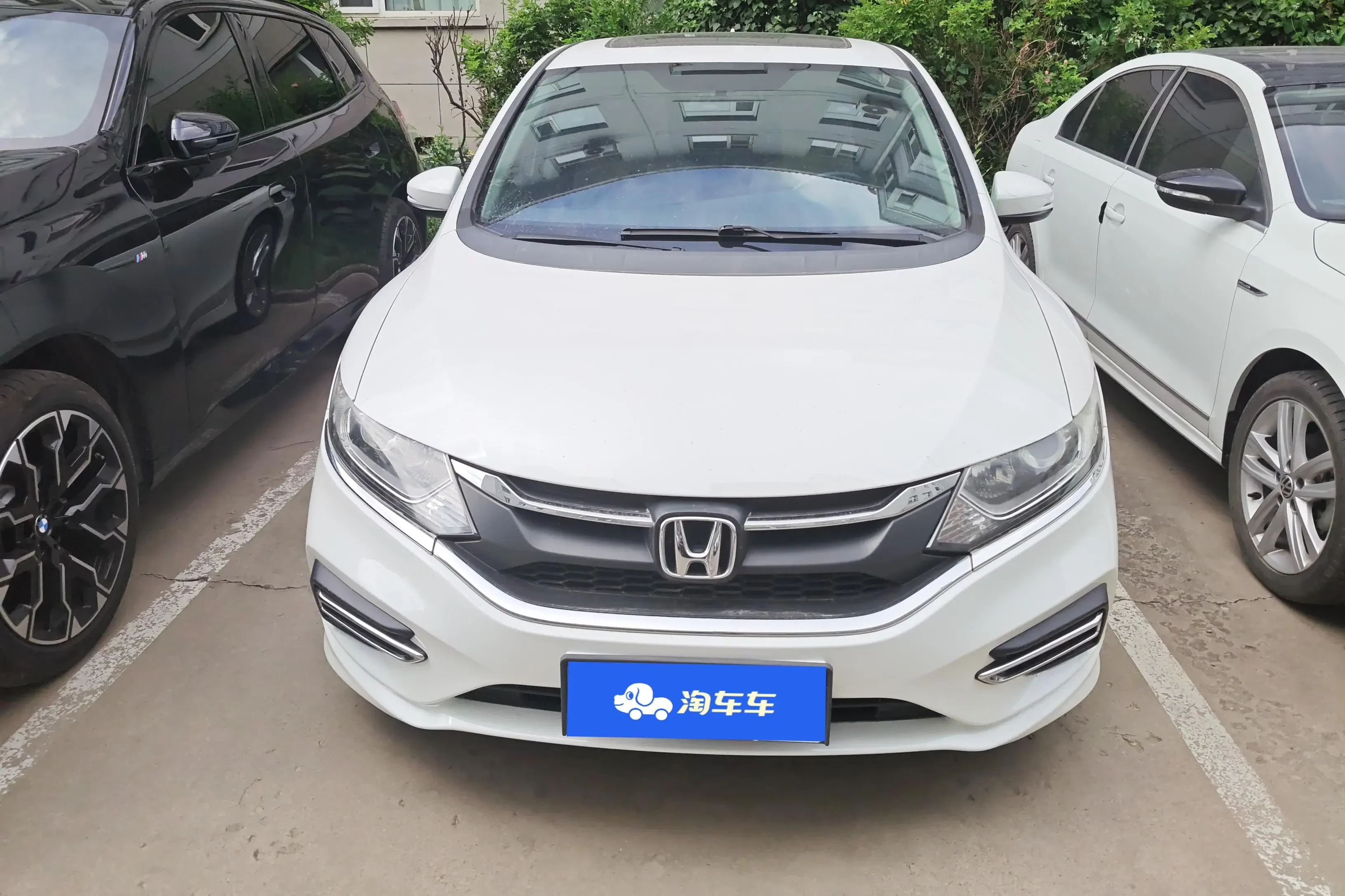 Honda Jed