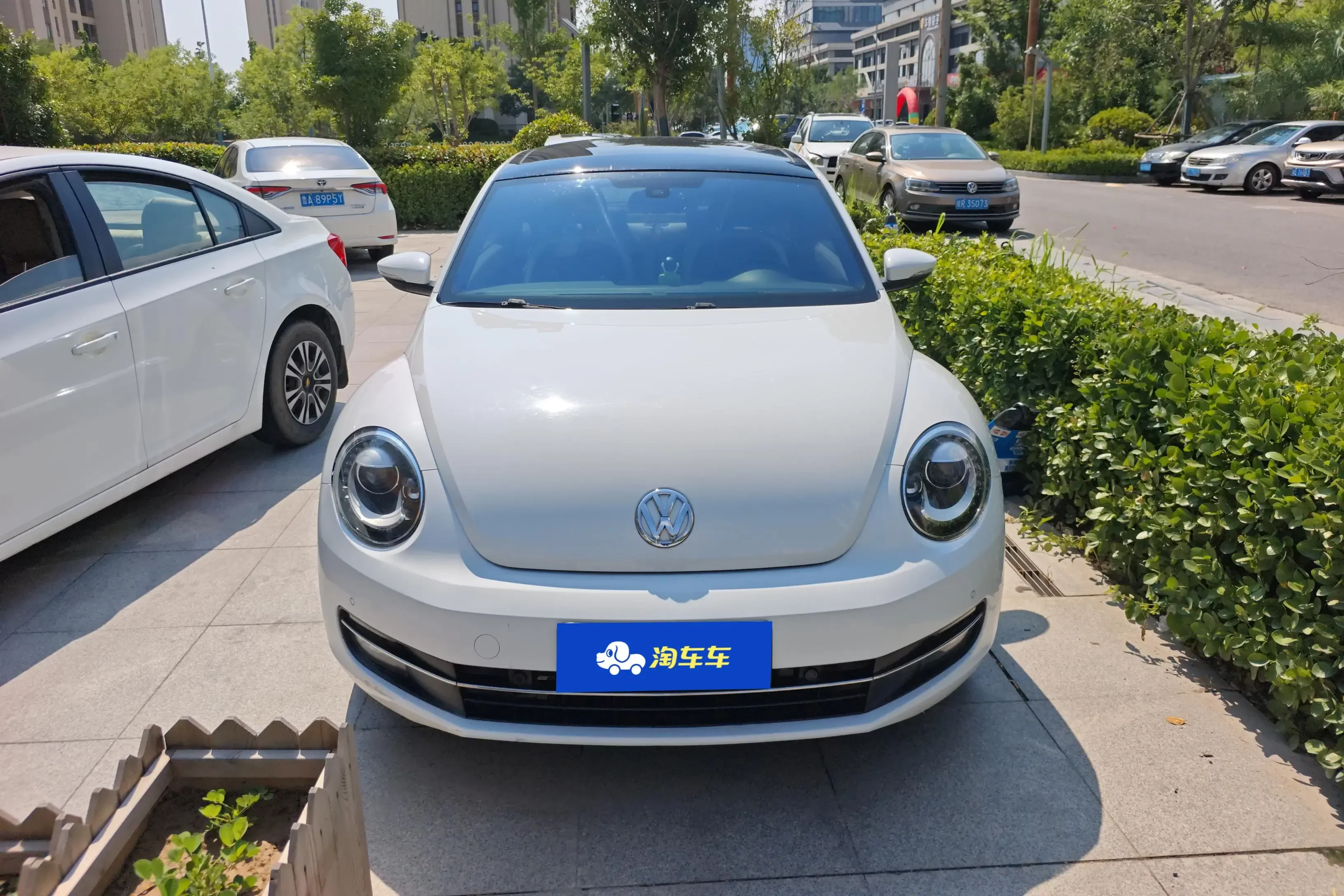 Volkswagen Beetle