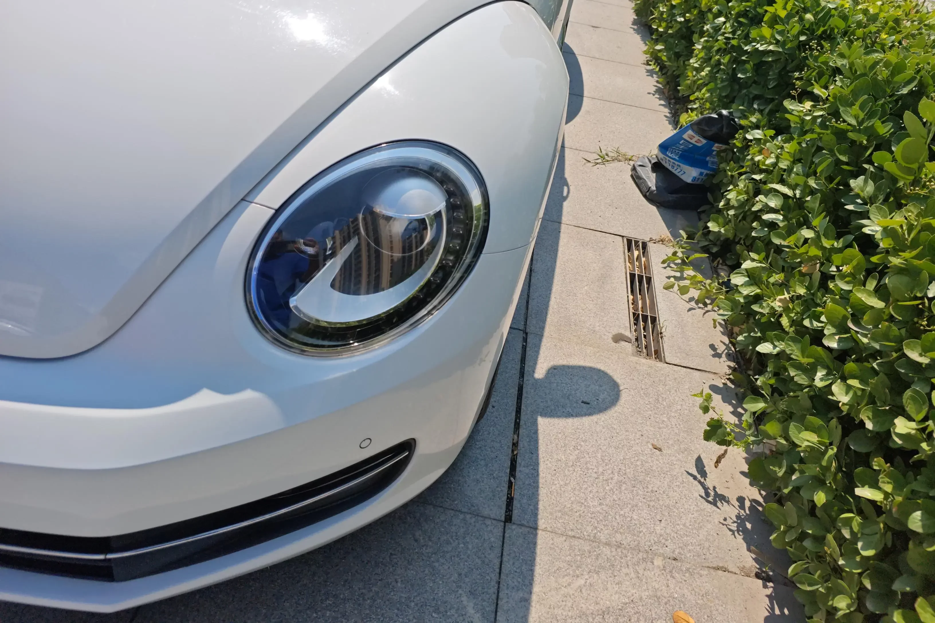 Volkswagen Beetle
