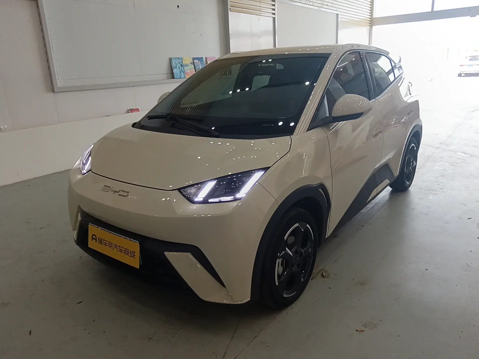 BYD seagull