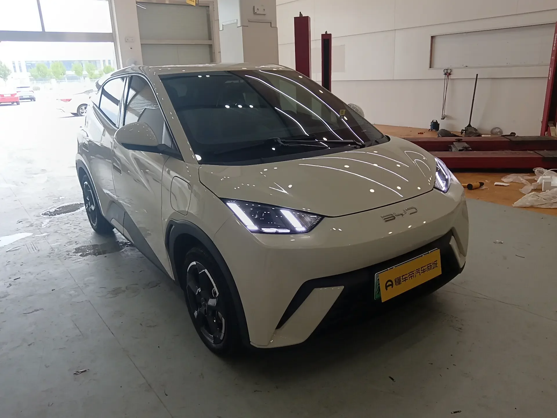 BYD seagull