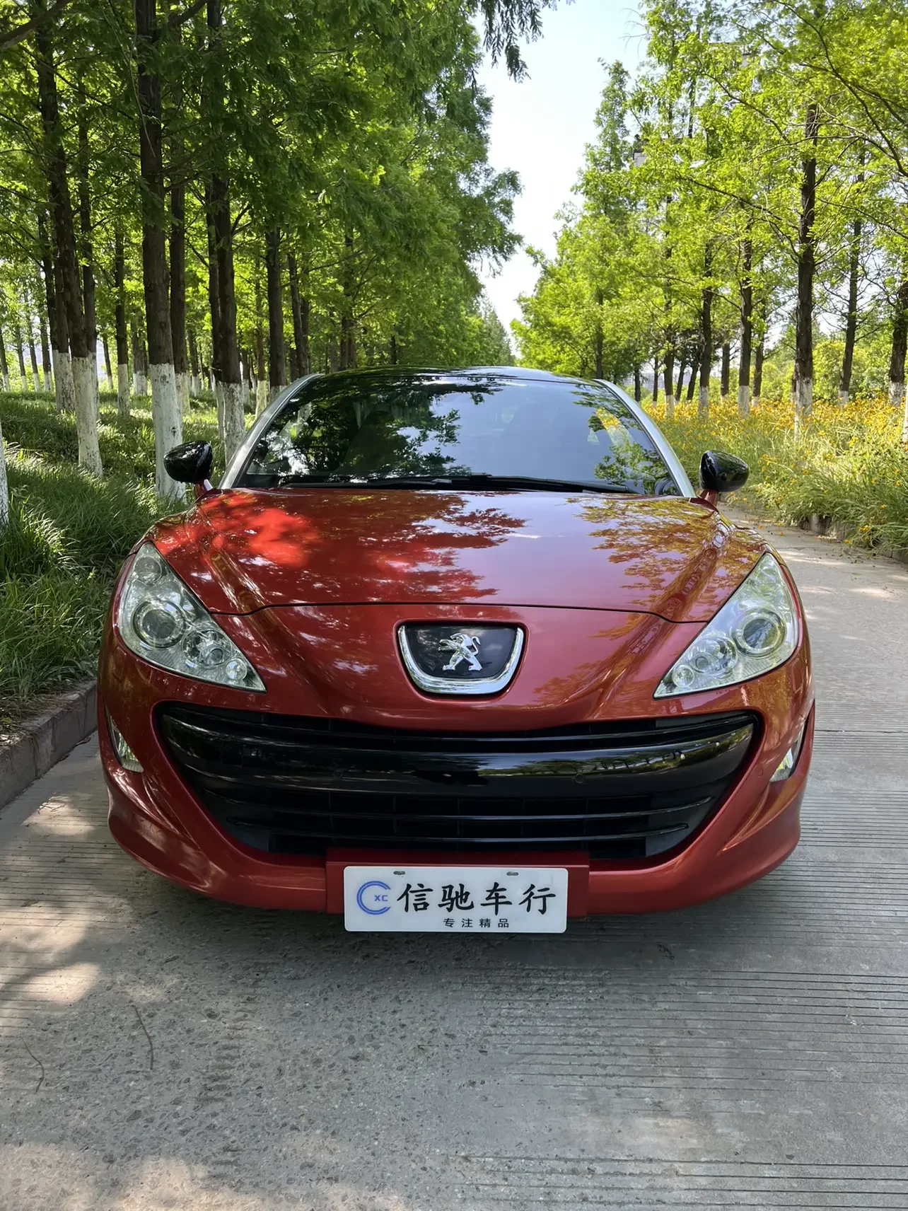 Peugeot RCZ