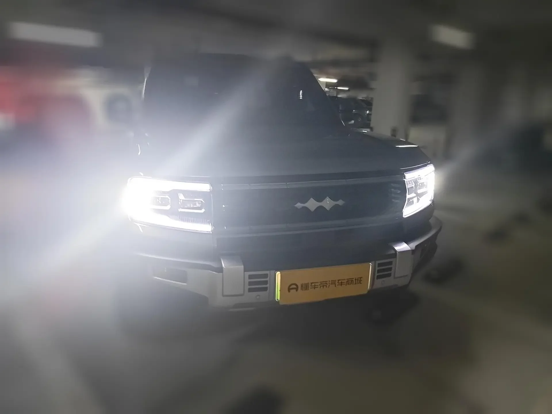 BYD Leopard Leopard 5