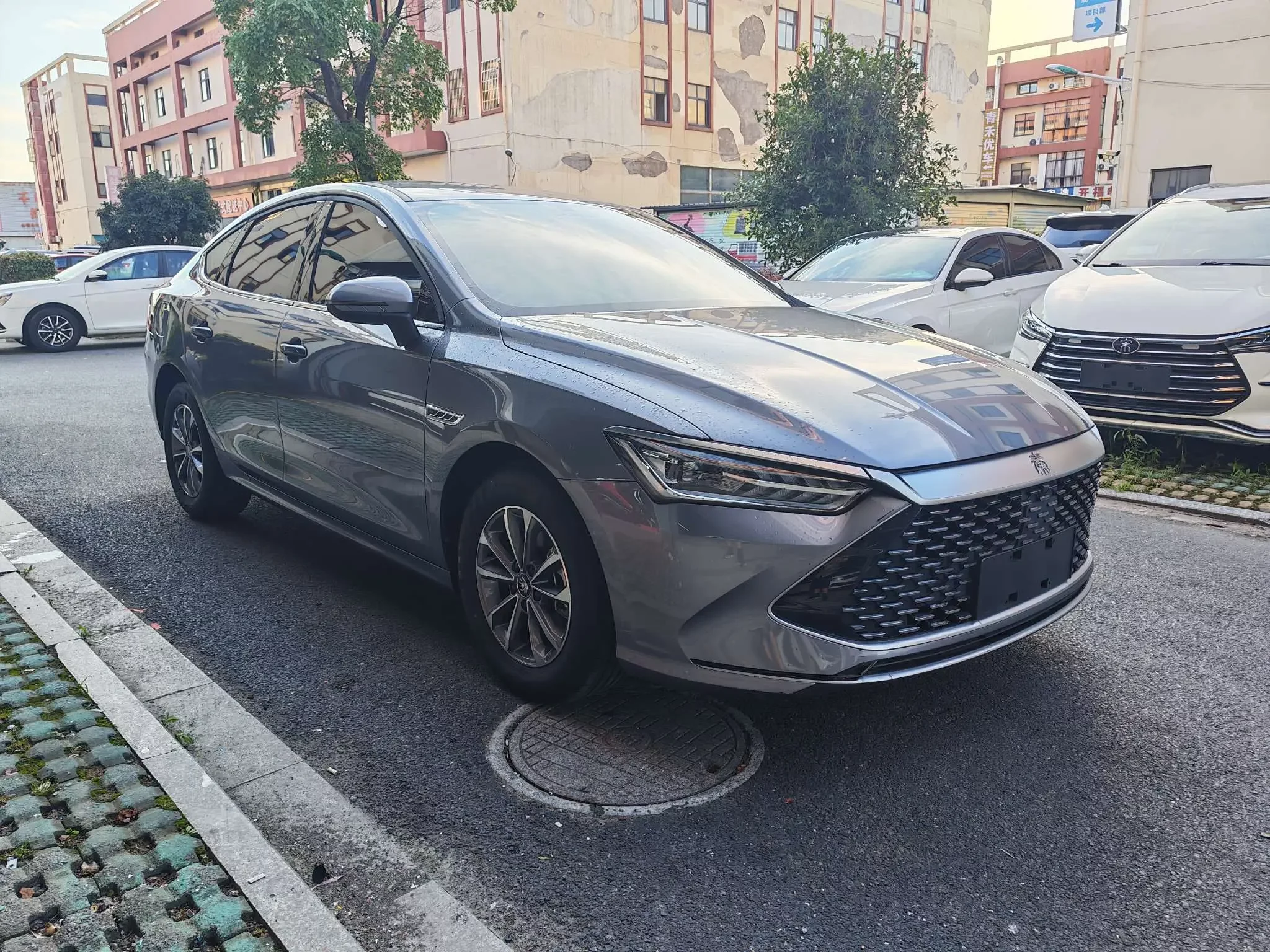 BYD Qin PLUS DM