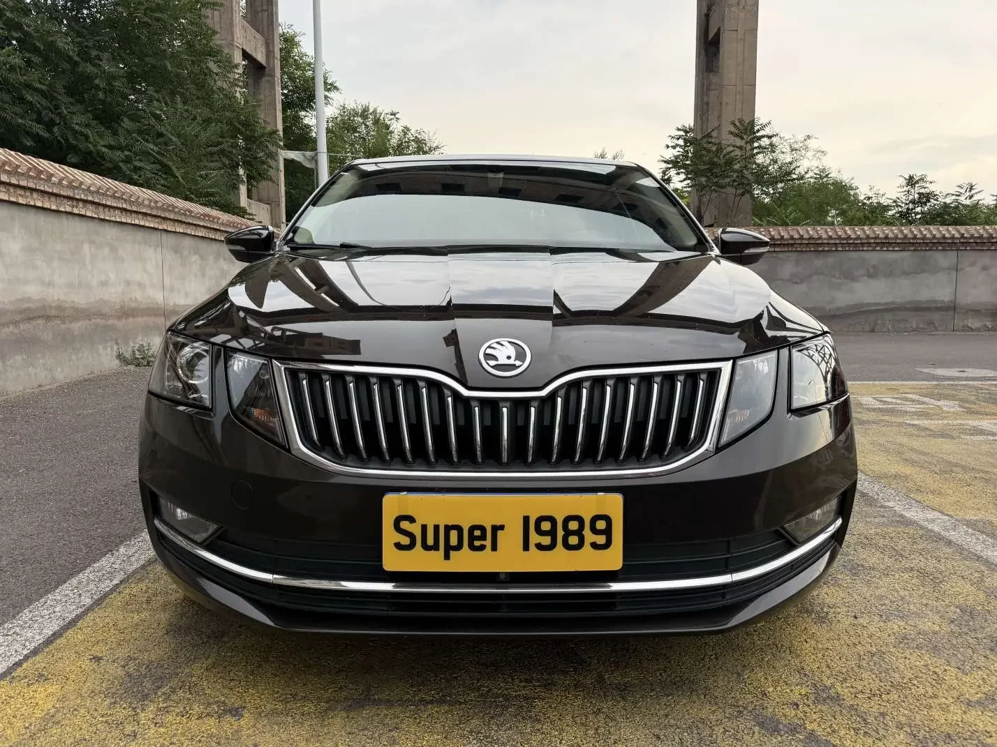 Skoda Octavia  из Китая