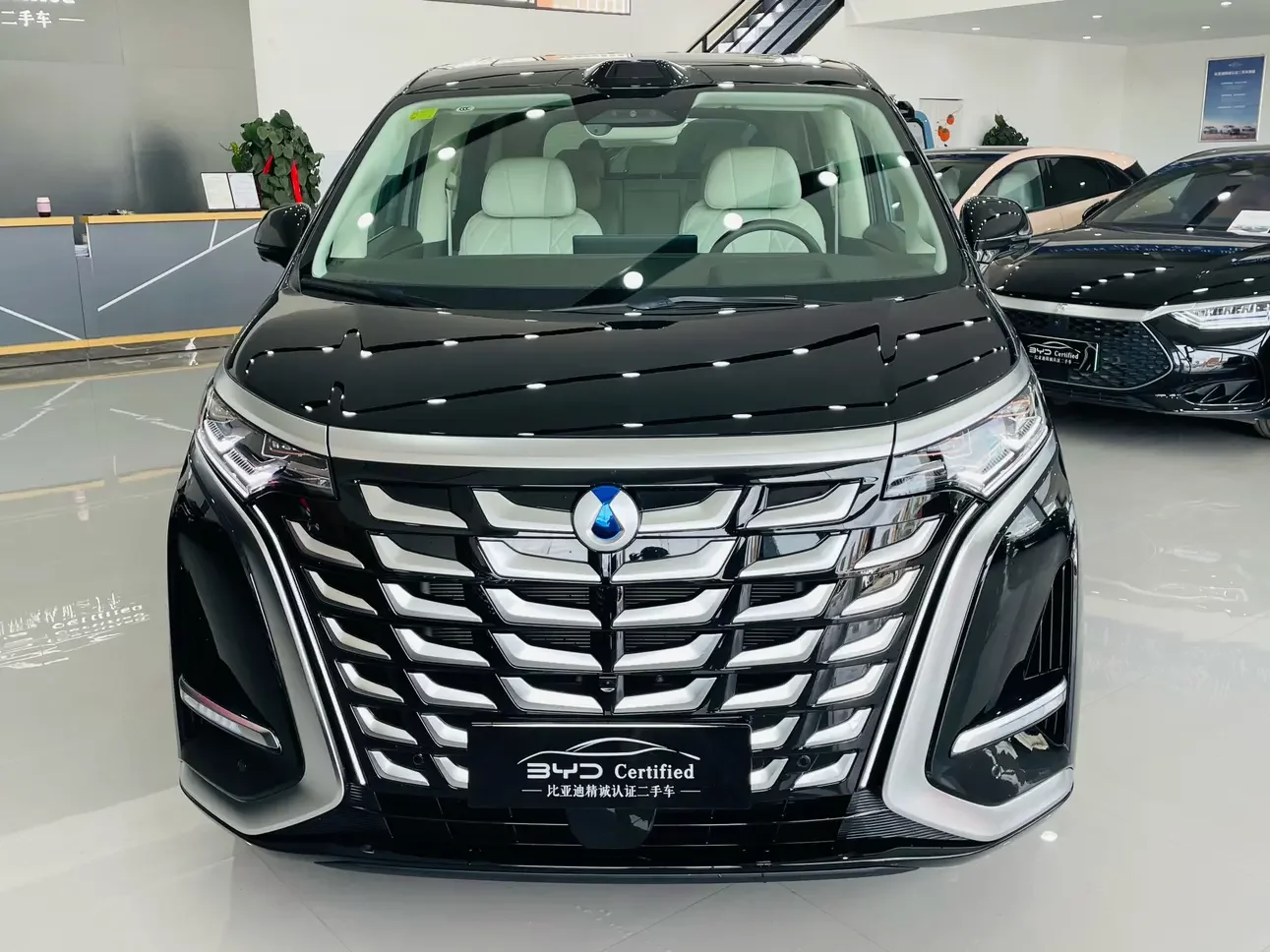 Denza D9 DM