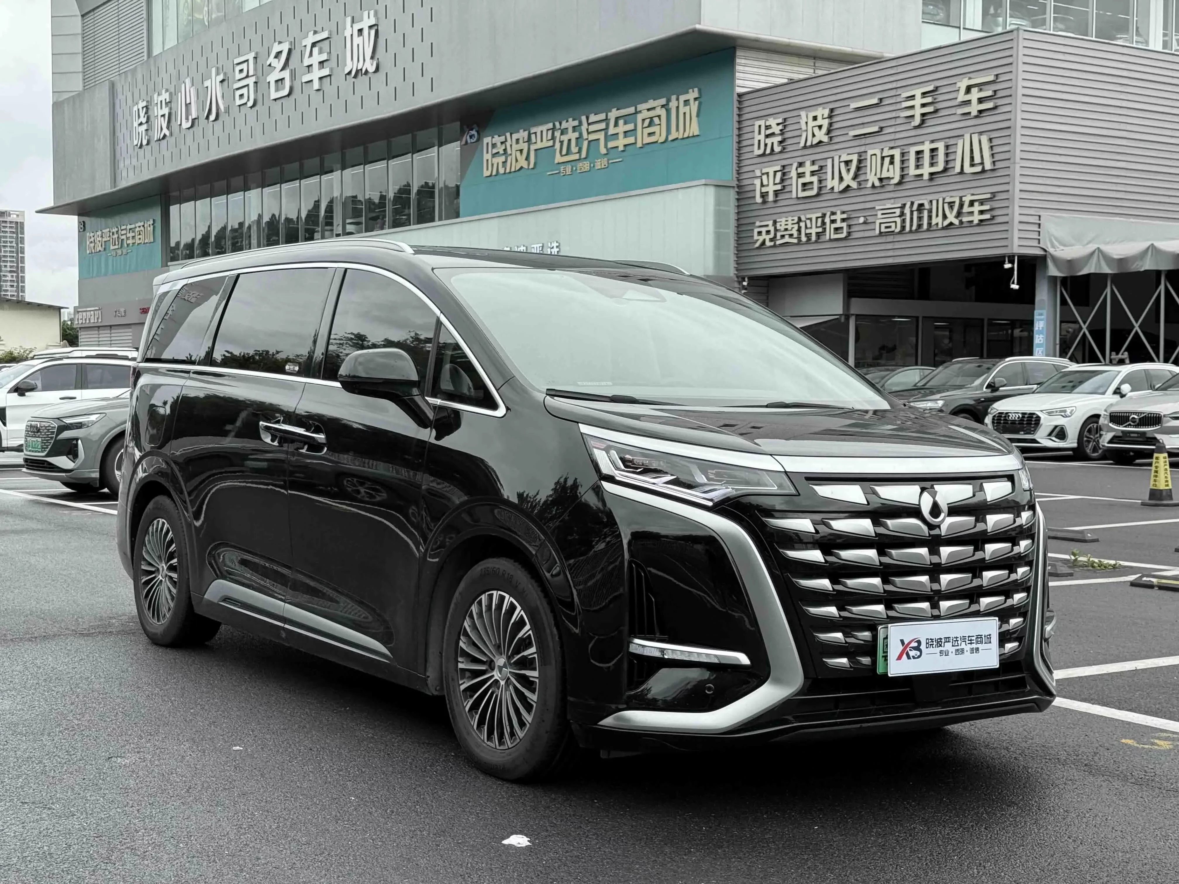 Denza D9 DM