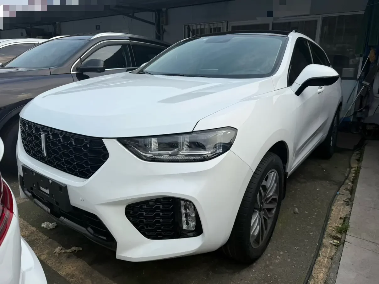 Wey Wei brand VV5