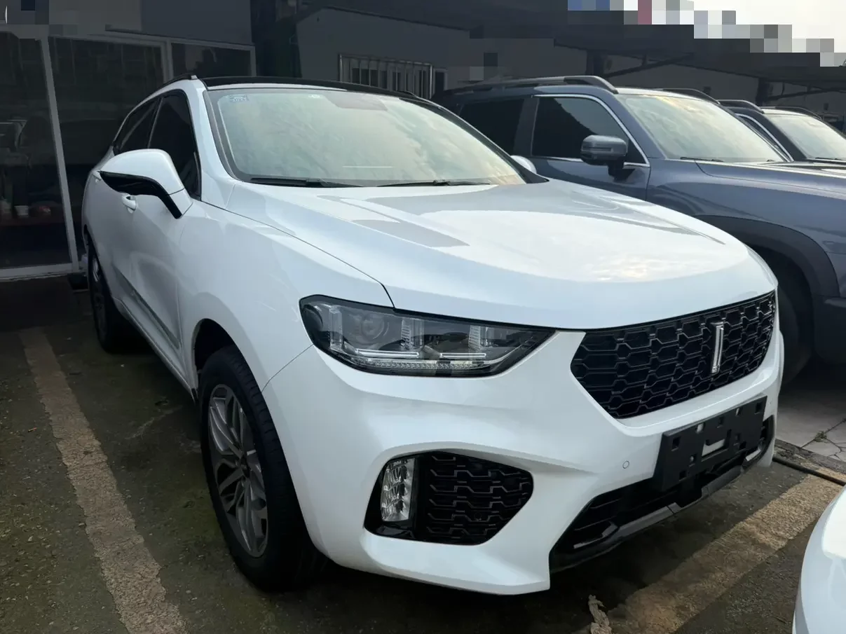 Wey Wei brand VV5