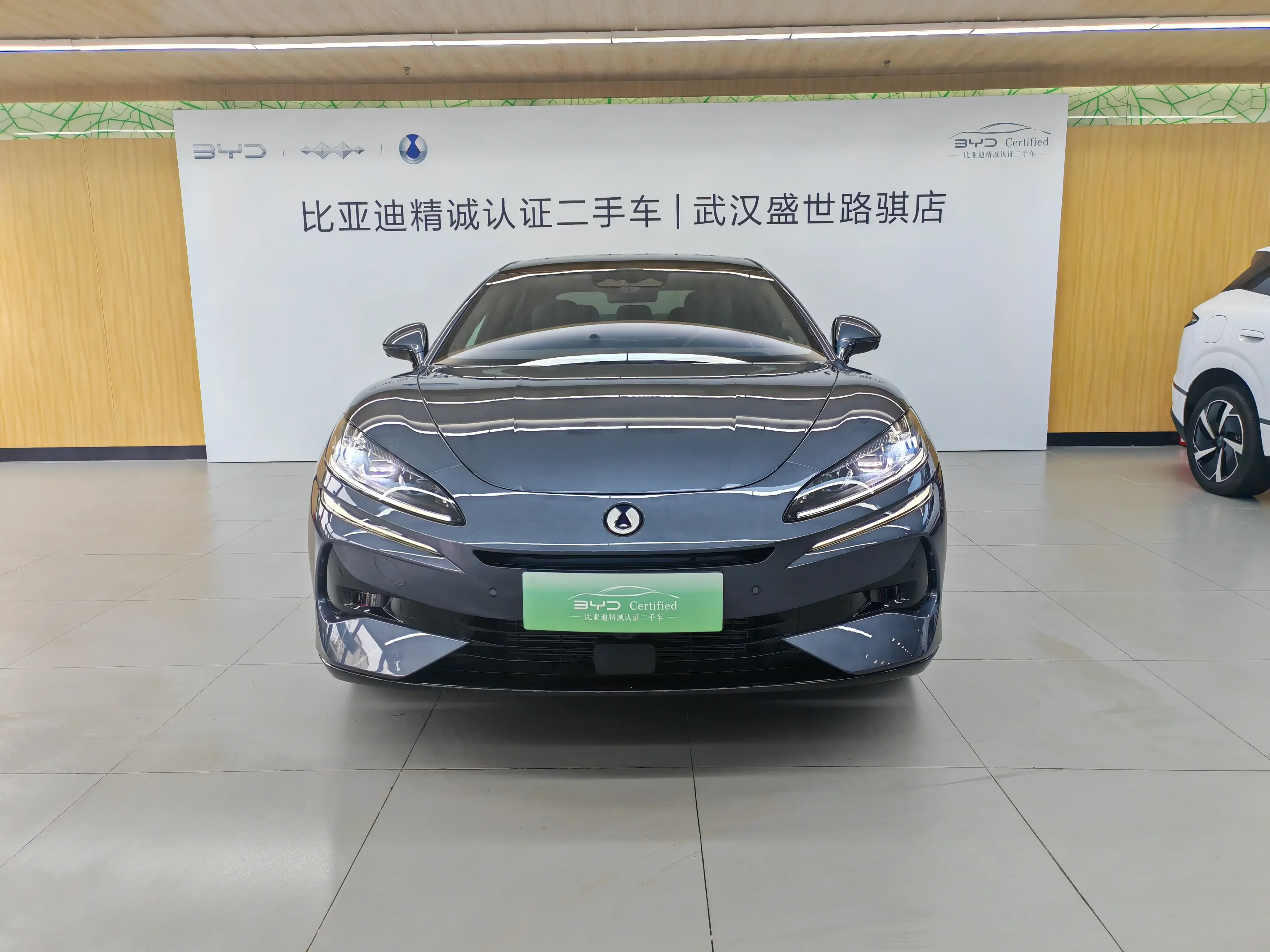 Denza Tengzhong Z9 DM
