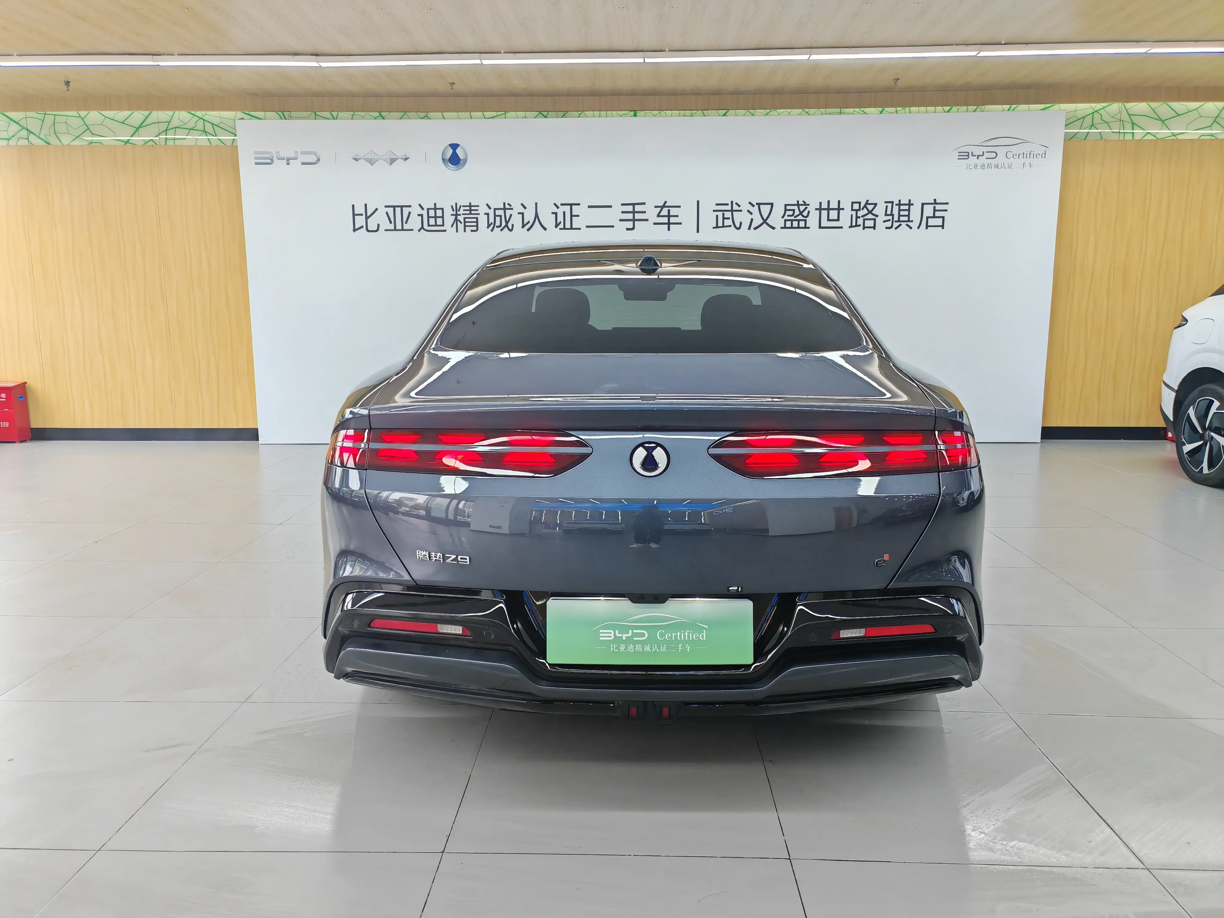 Denza Tengzhong Z9 DM