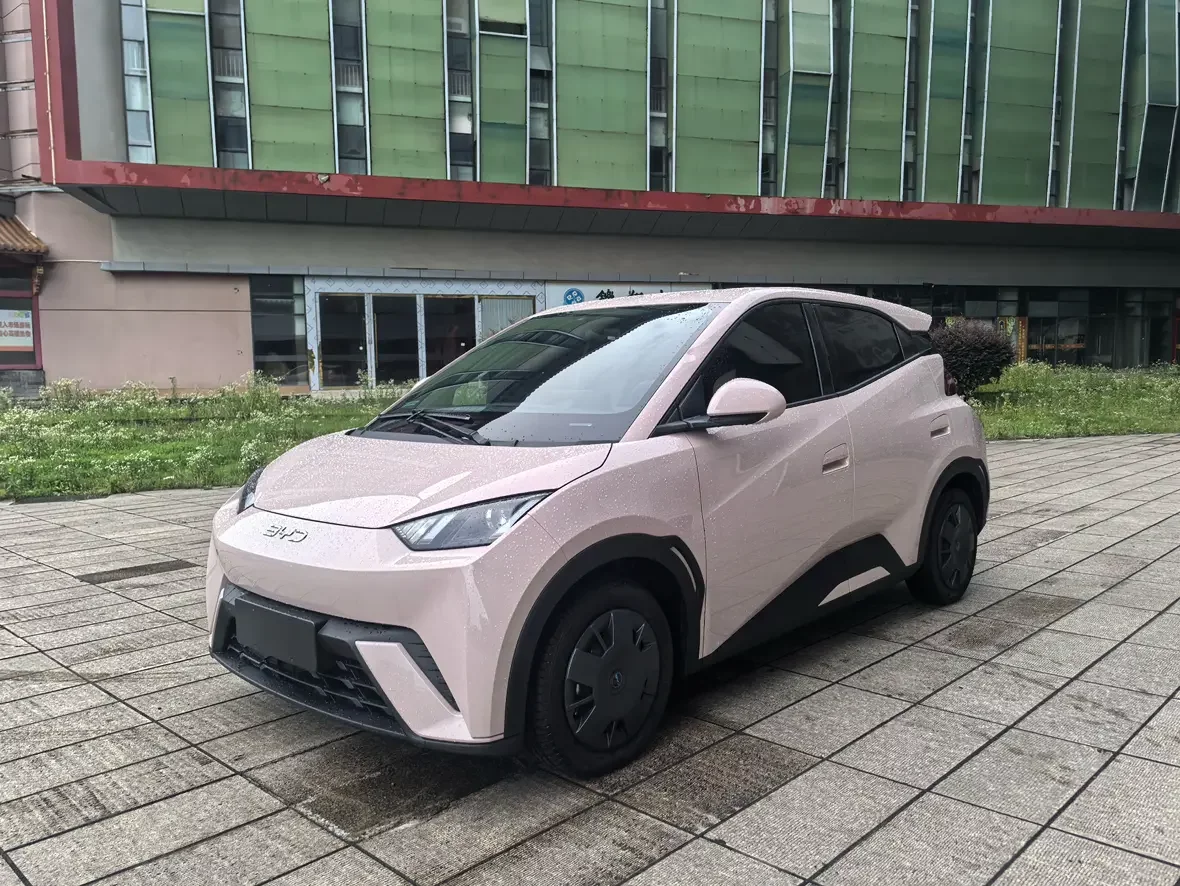 BYD seagull