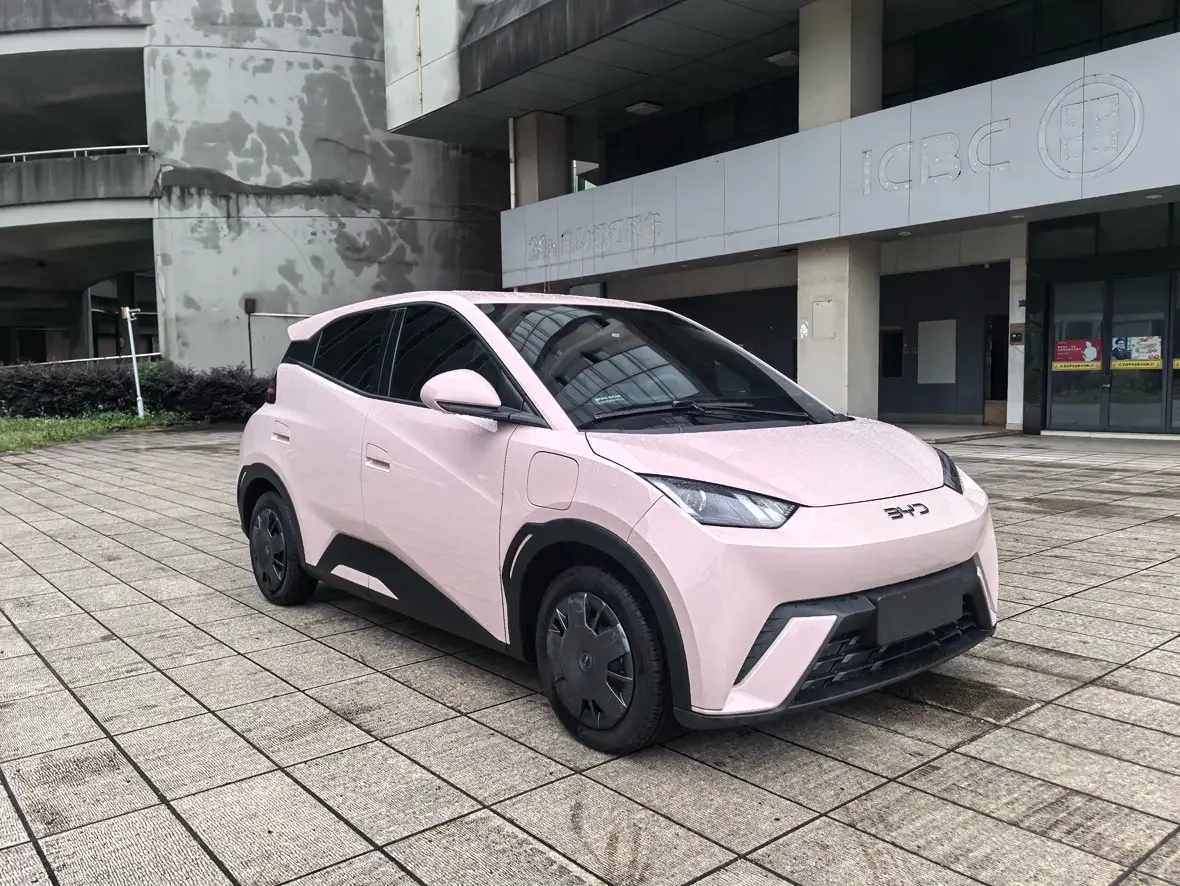 BYD seagull
