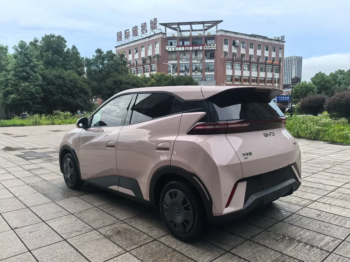 BYD seagull