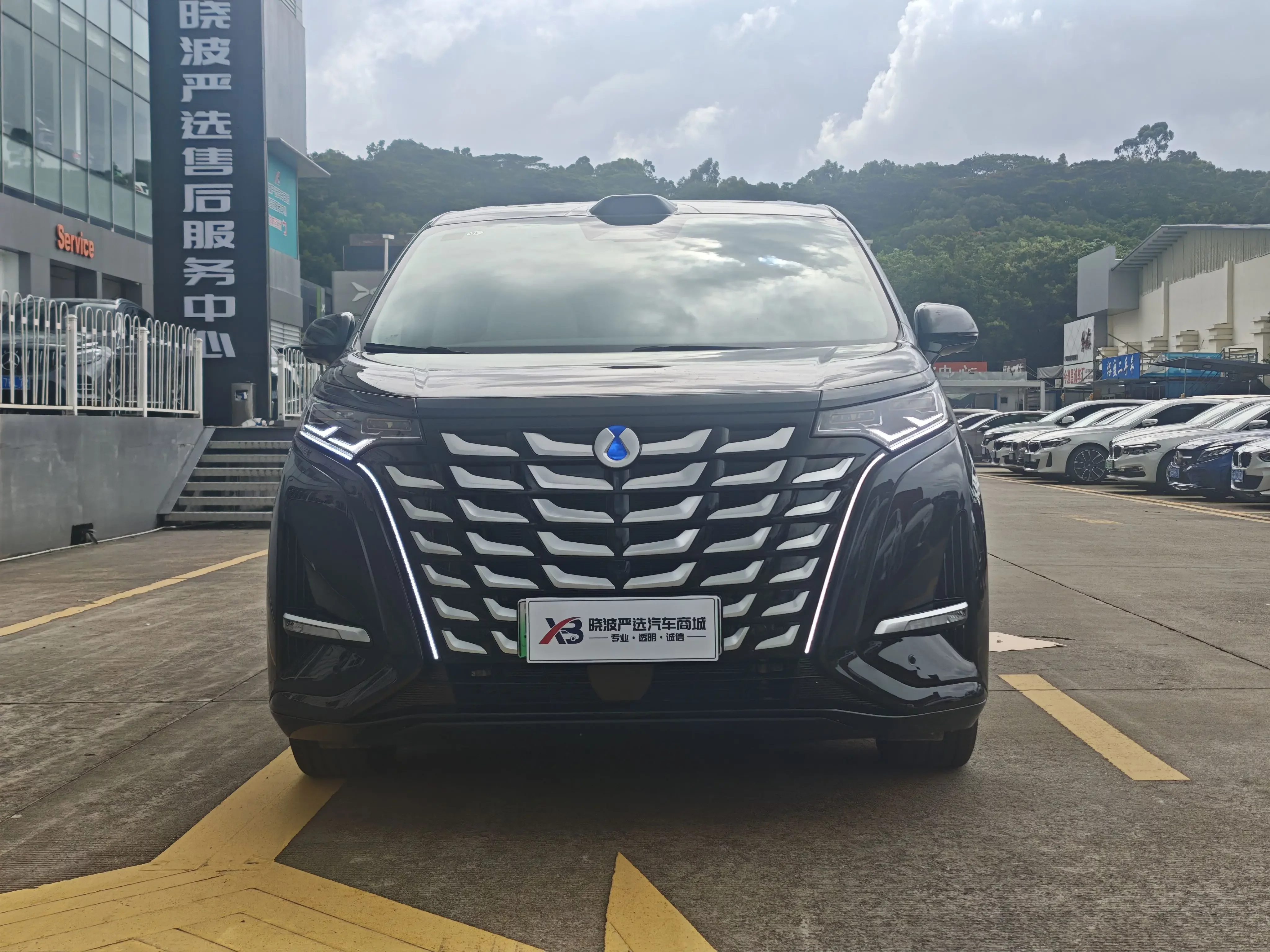 Denza D9 DM