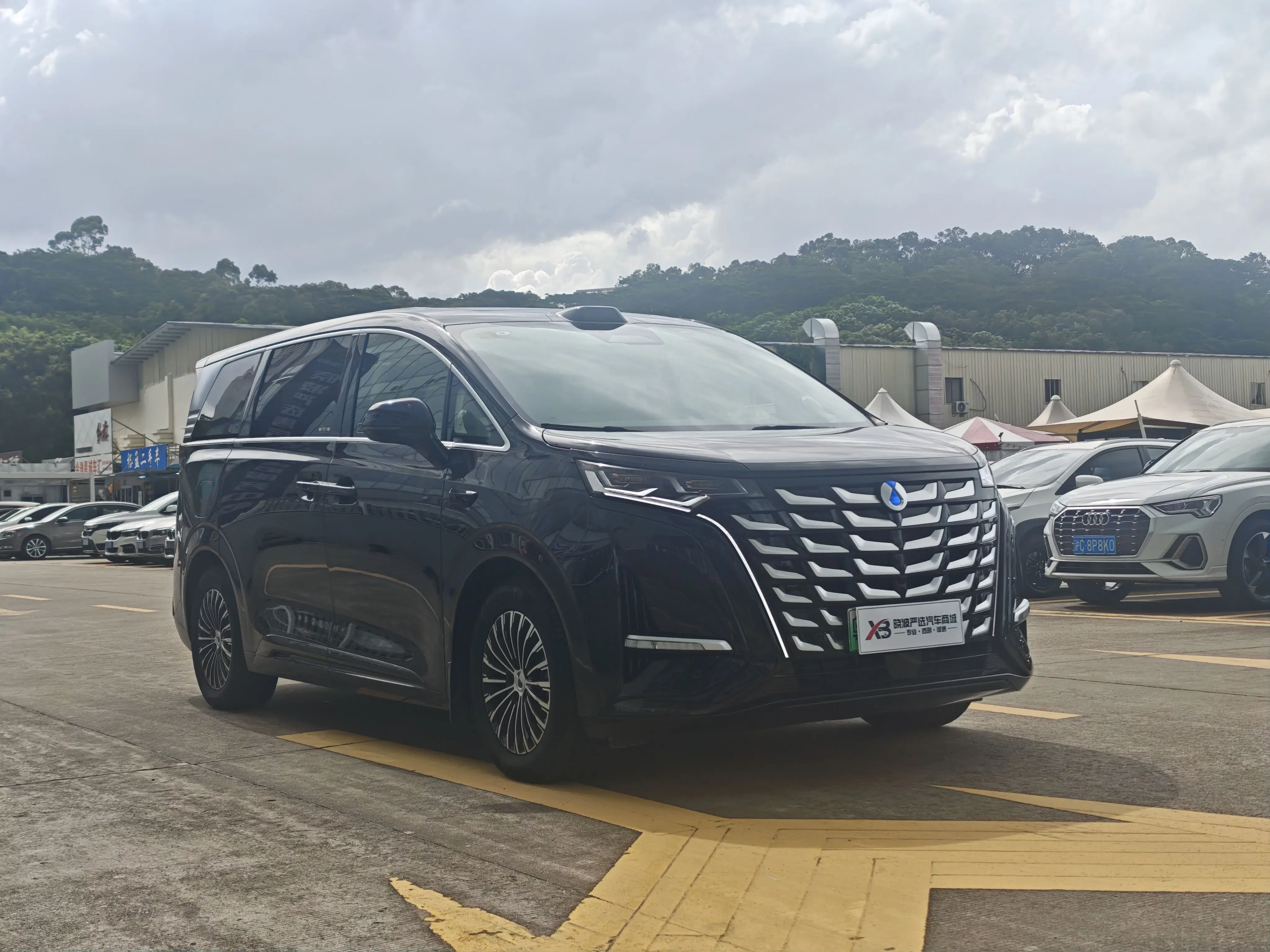 Denza D9 DM