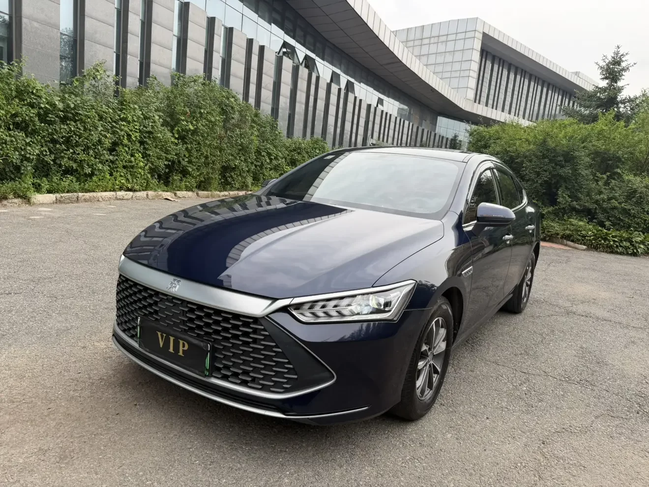 BYD Qin PLUS DM