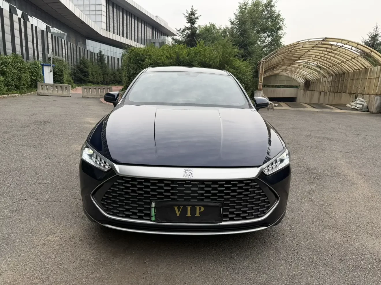 BYD Qin PLUS DM