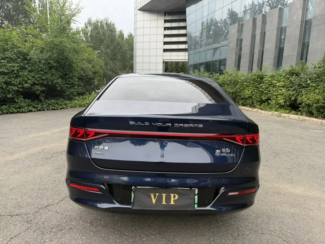 BYD Qin PLUS DM