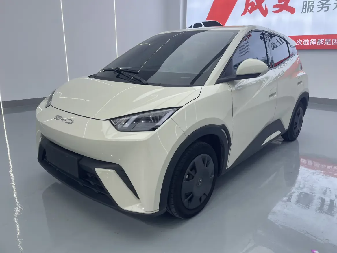 BYD seagull